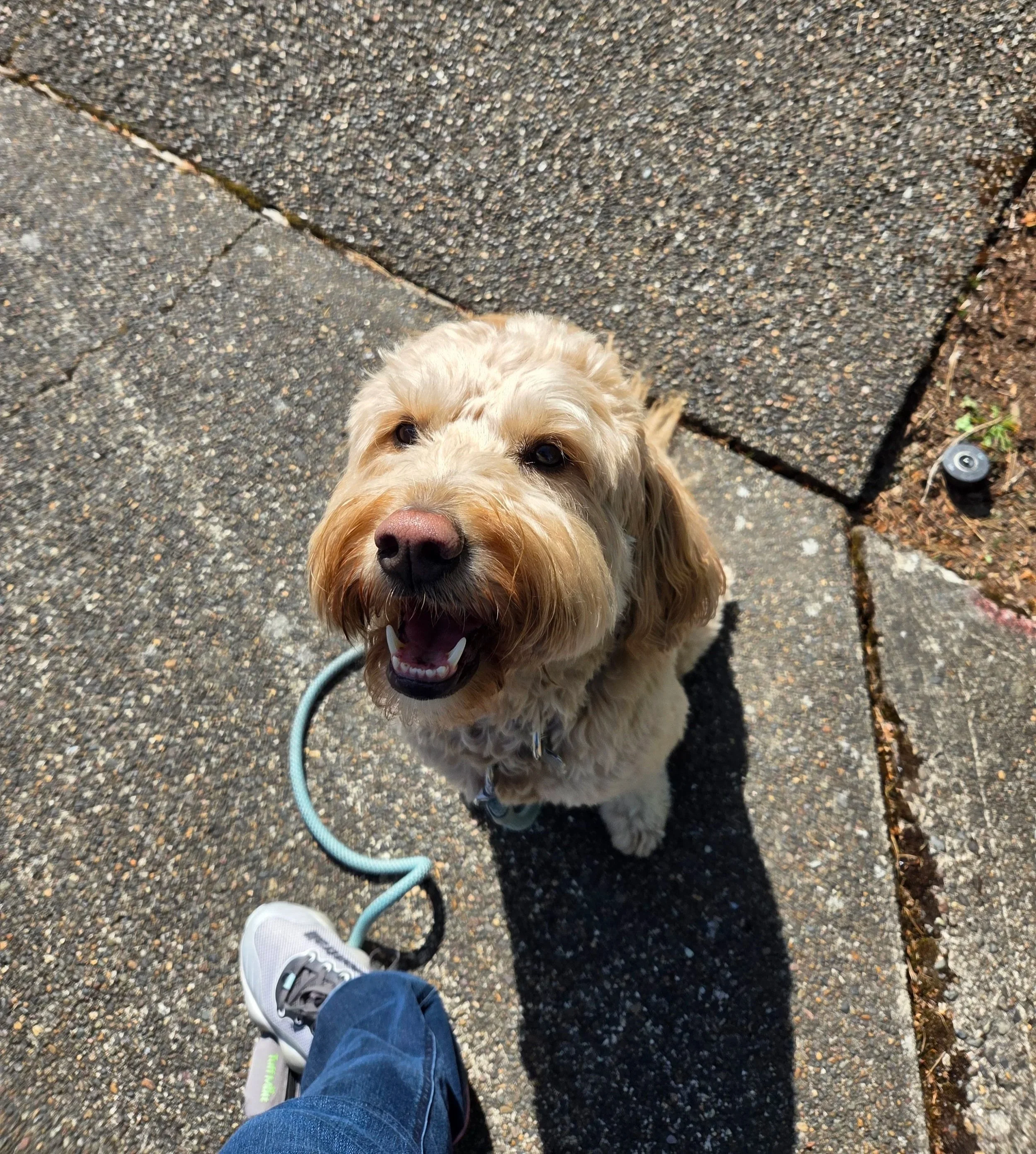 Practice  training with Risa between lessons.