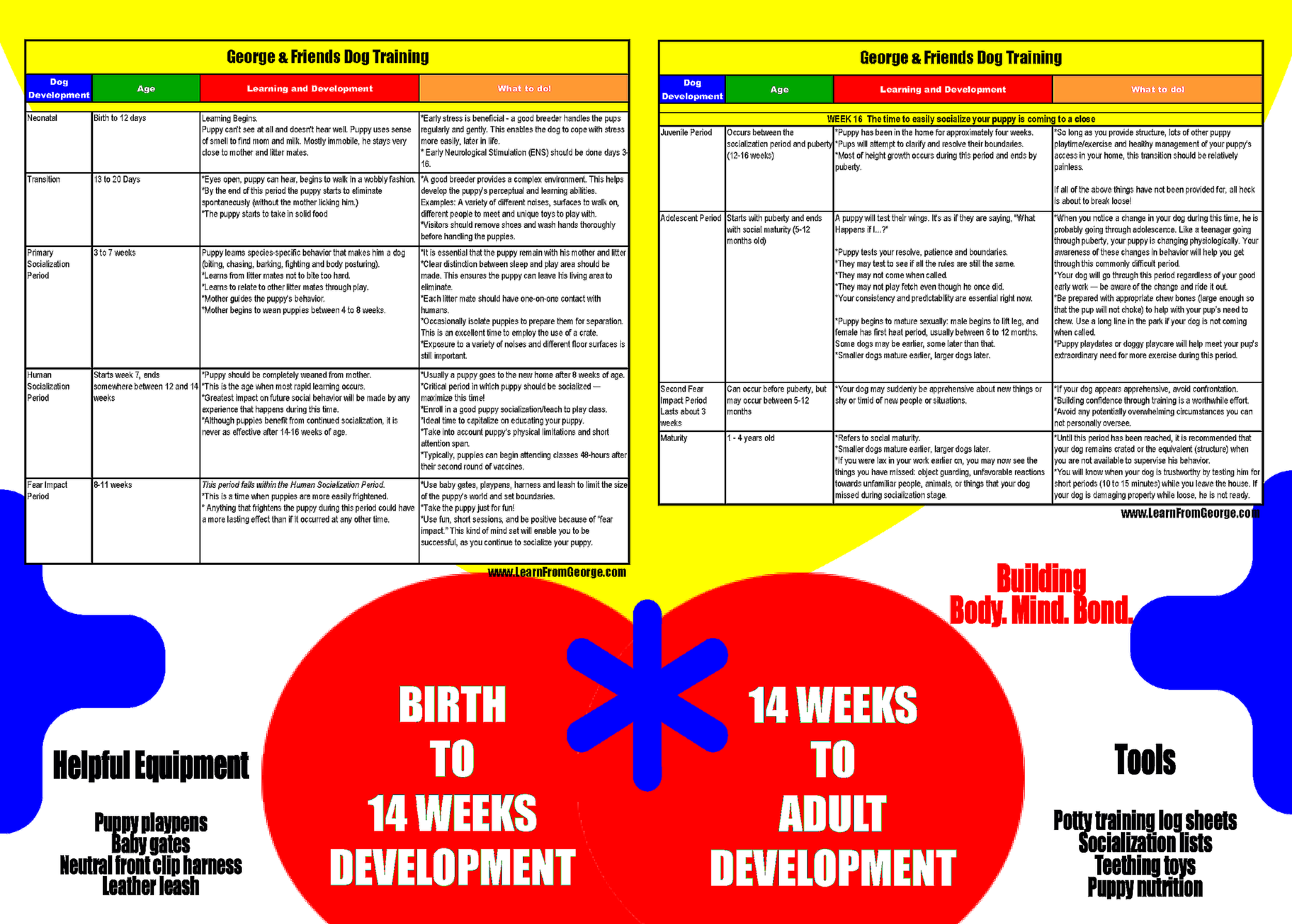 Dog Development Helpful Guide
