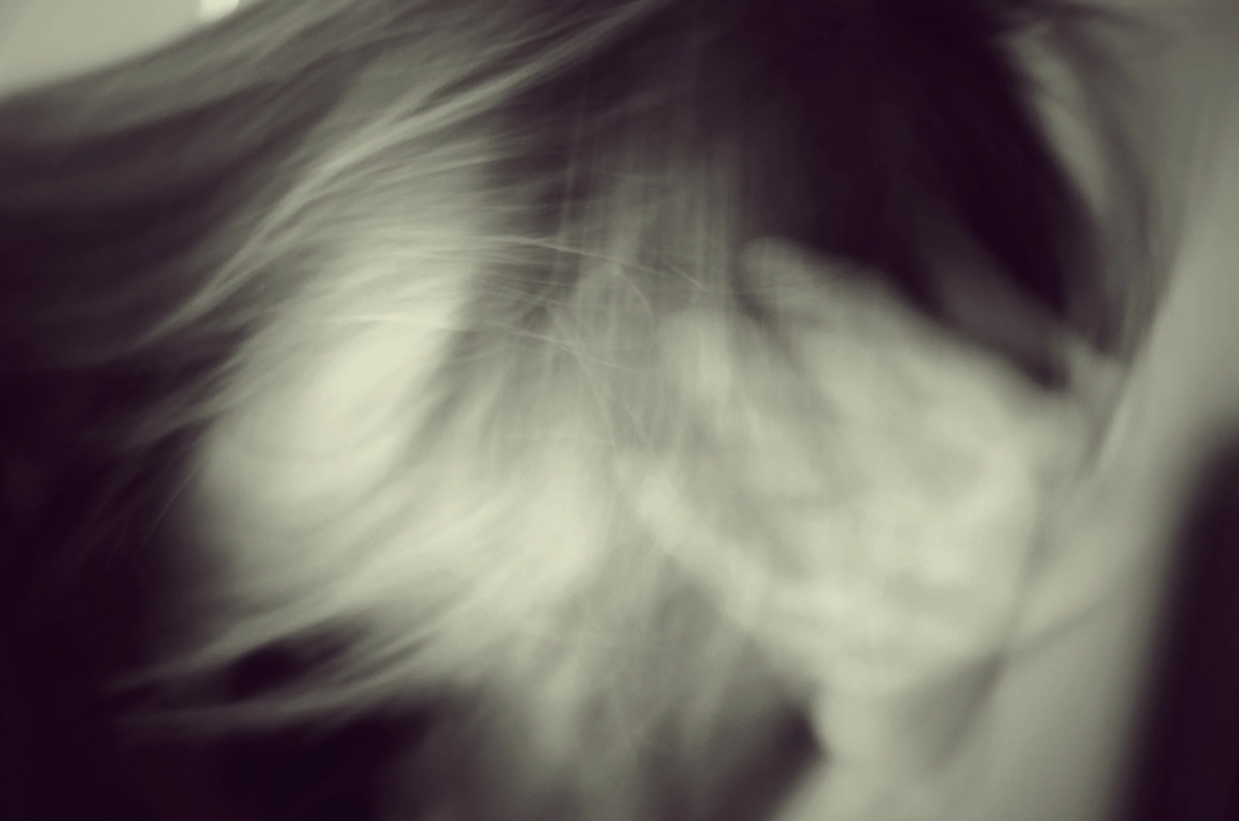 NEW HAIR TREND ALERT!