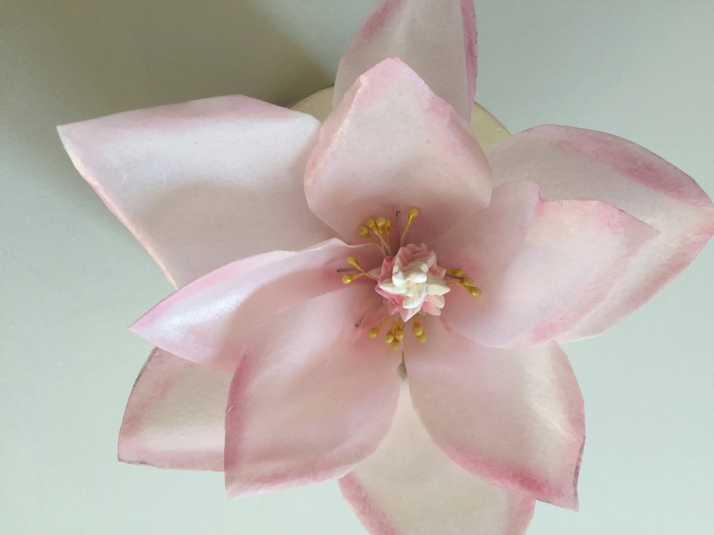 Giant Wafer Paper Flowers Magnolia Free Mini Tutorial — Moreish Cakes