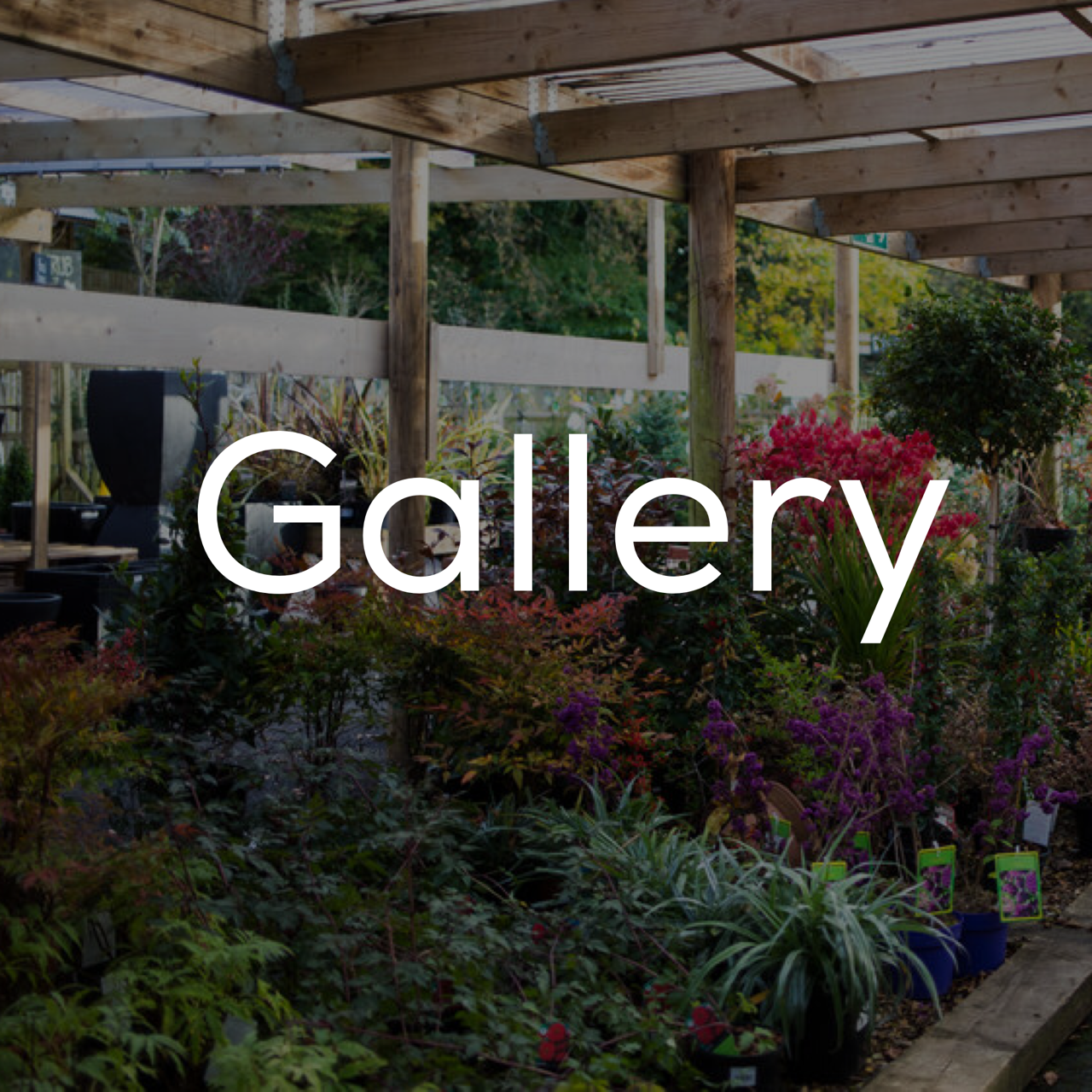 Pyle Garden Centre — Pyle Garden Village