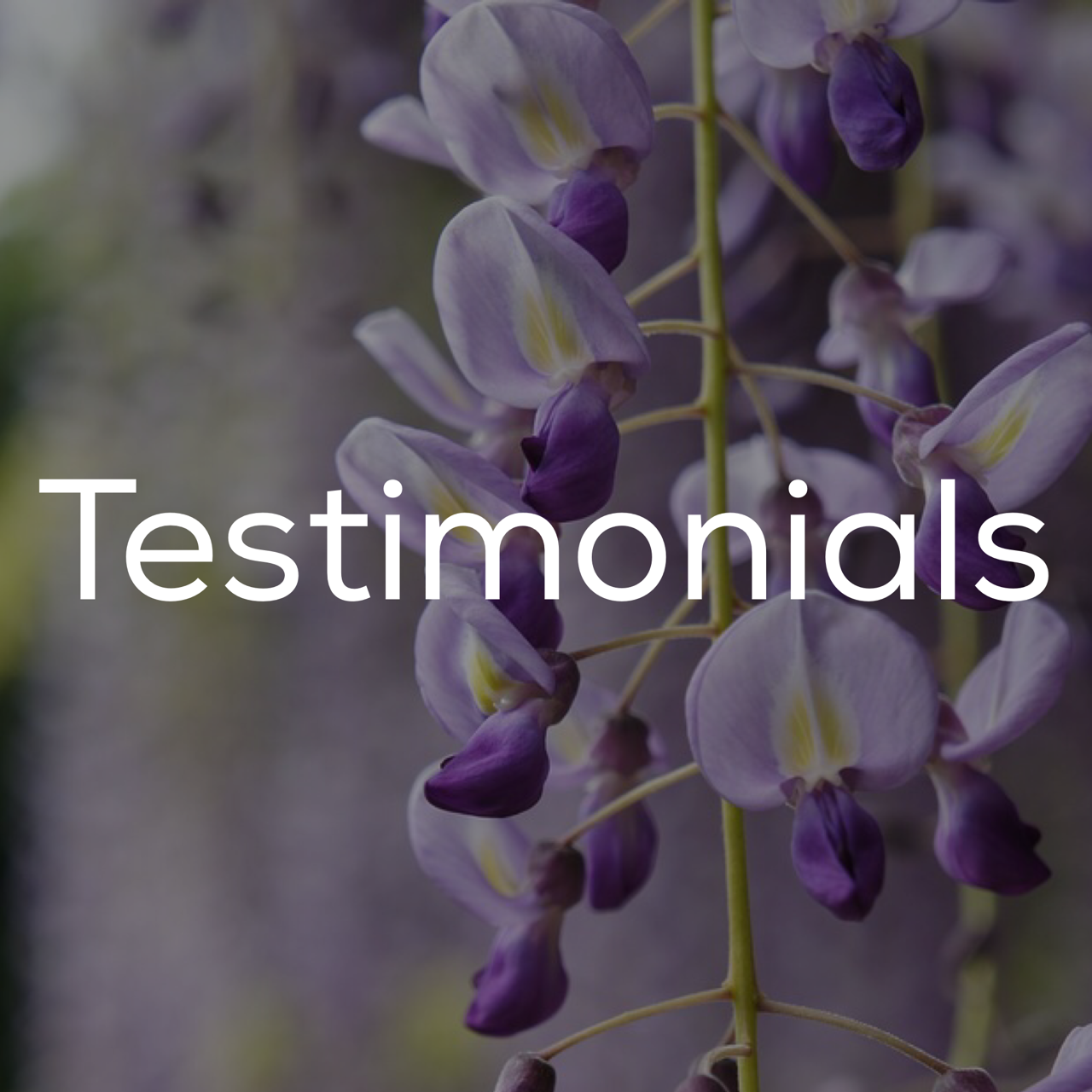 Pyle Garden Centre — Pyle Garden Village