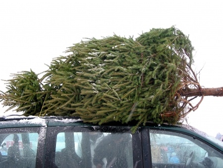 christmas-tree-car.jpg
