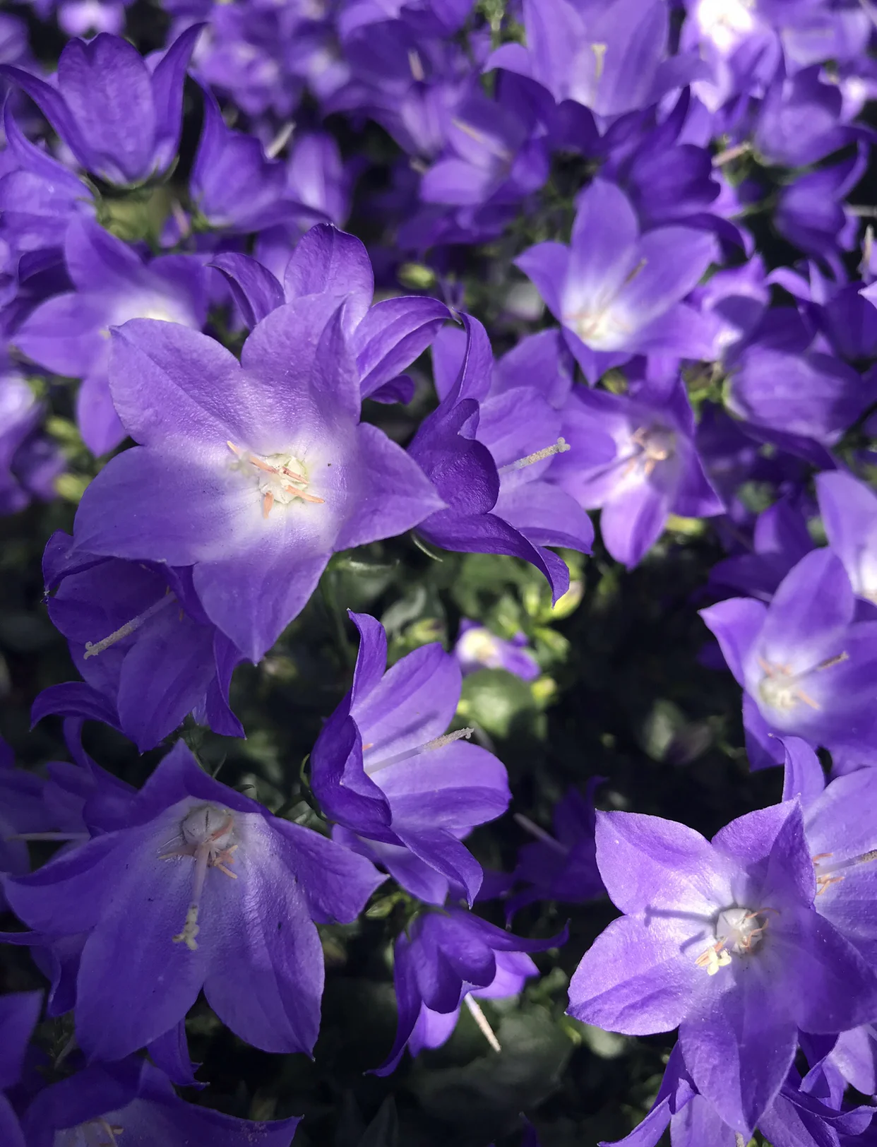 image2 (3).jpeg