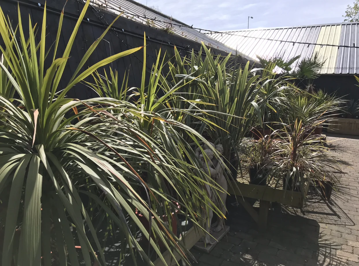 image1 (4).jpeg