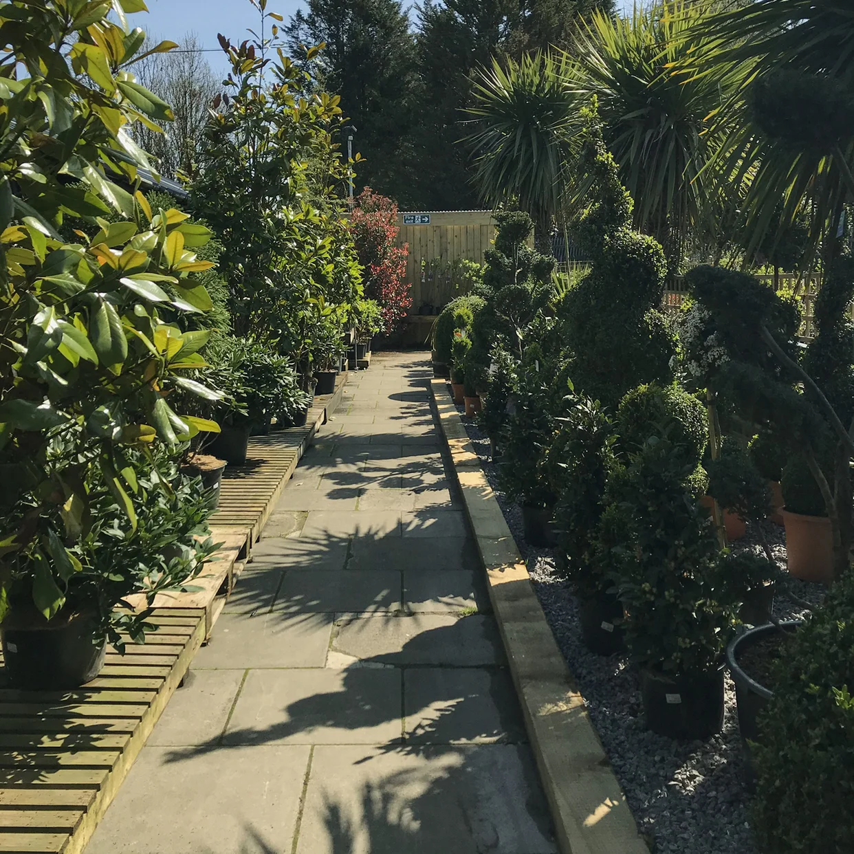 Trees — Pyle Garden Village