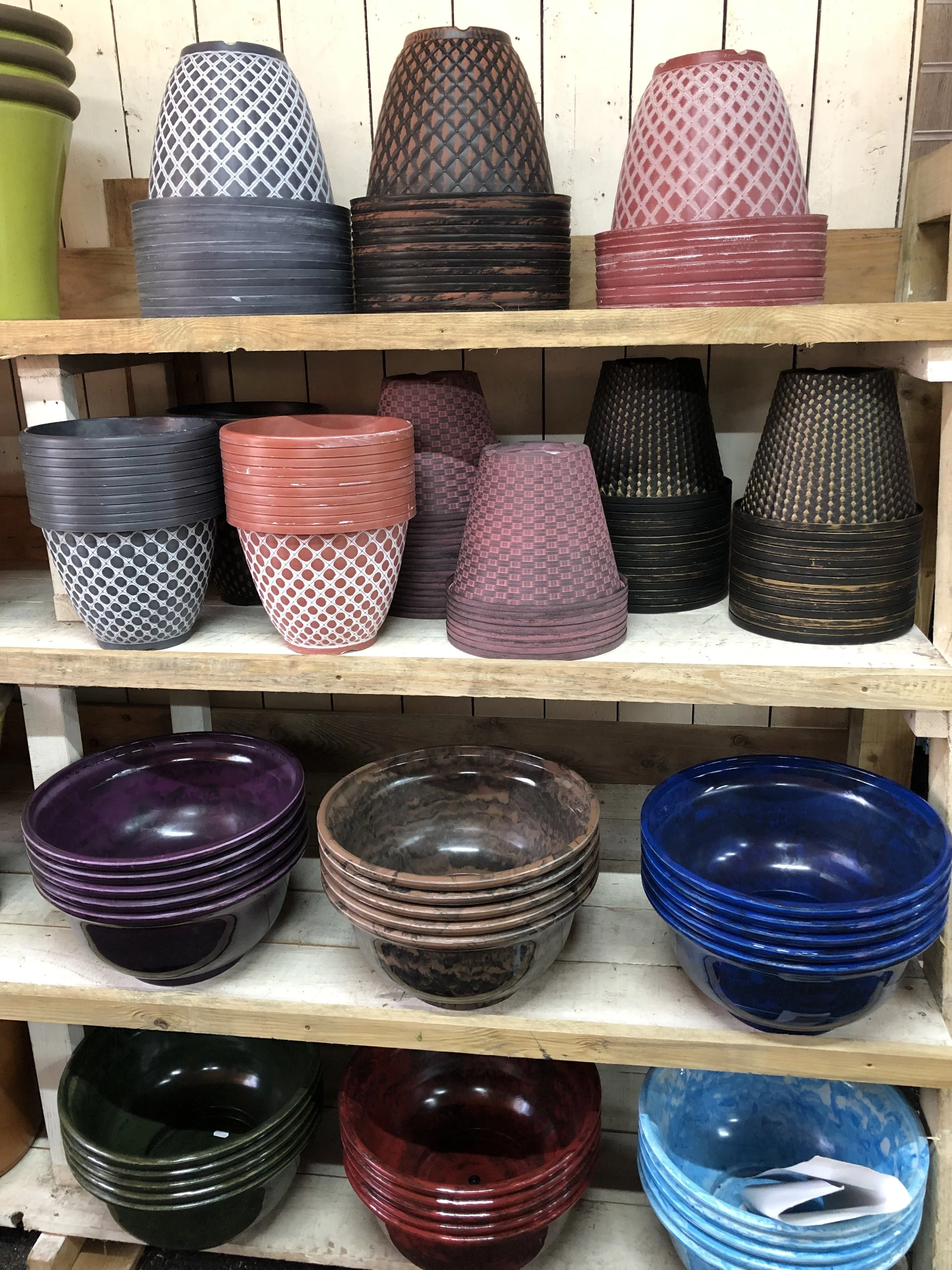 image2 (7).jpeg