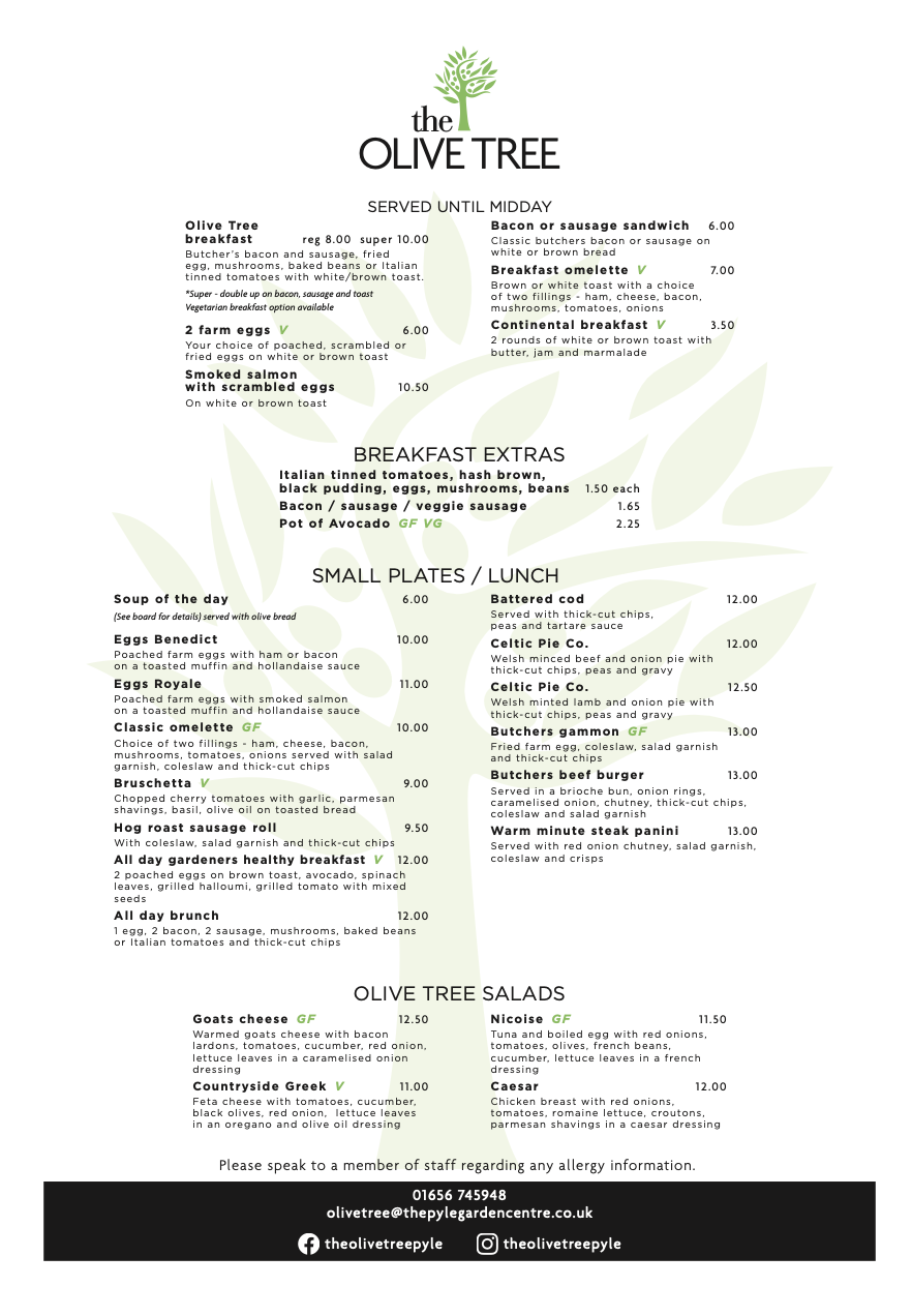 NEW 2023 Olive Tree menu page 1 .png