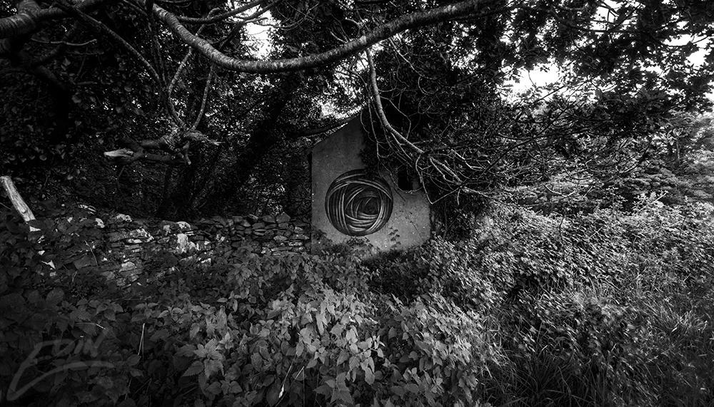 woods-shack-portal-bw-web.jpg