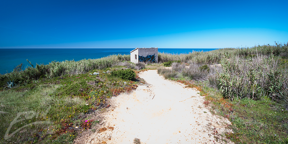 coxos-setting-web.jpg