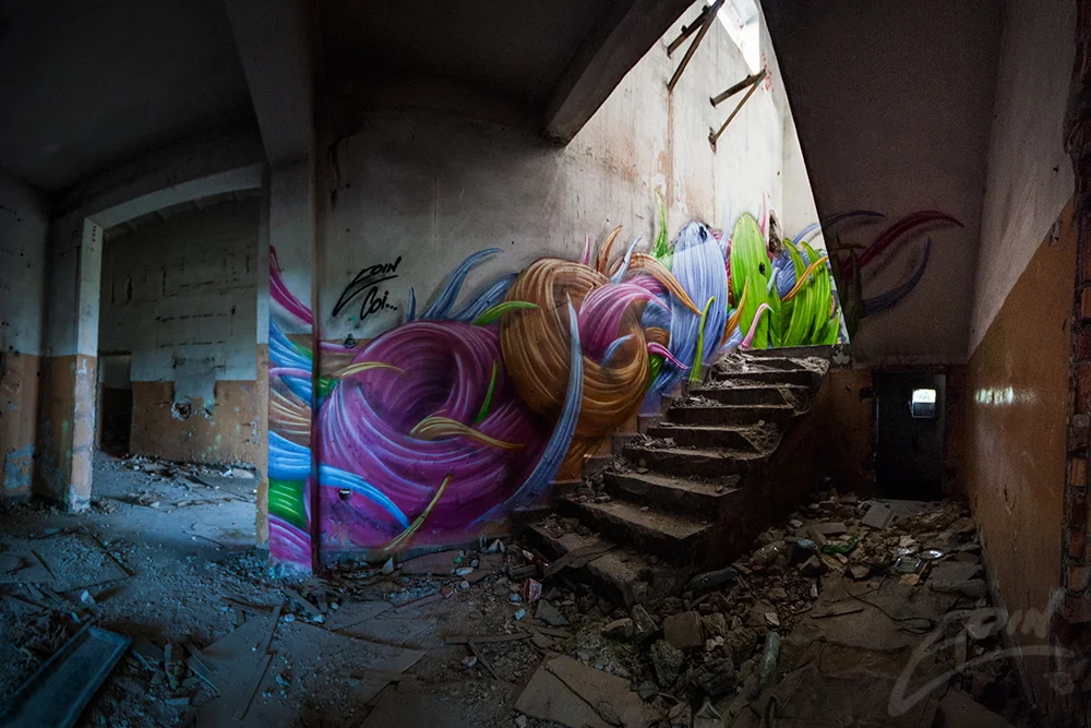 colour-steps-web.jpg