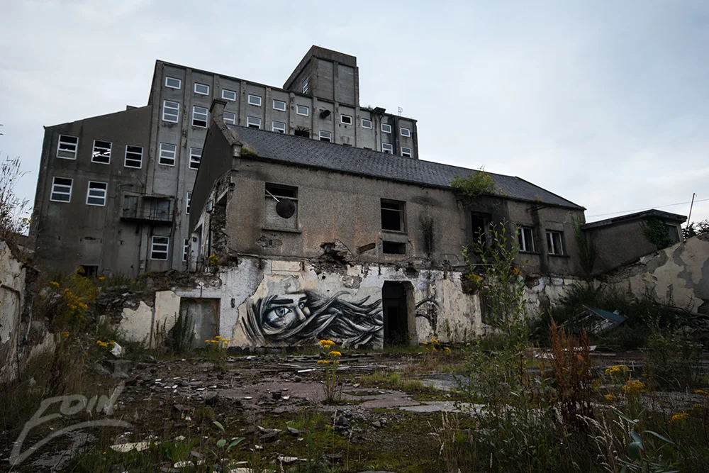 factory-face-f-web.jpg