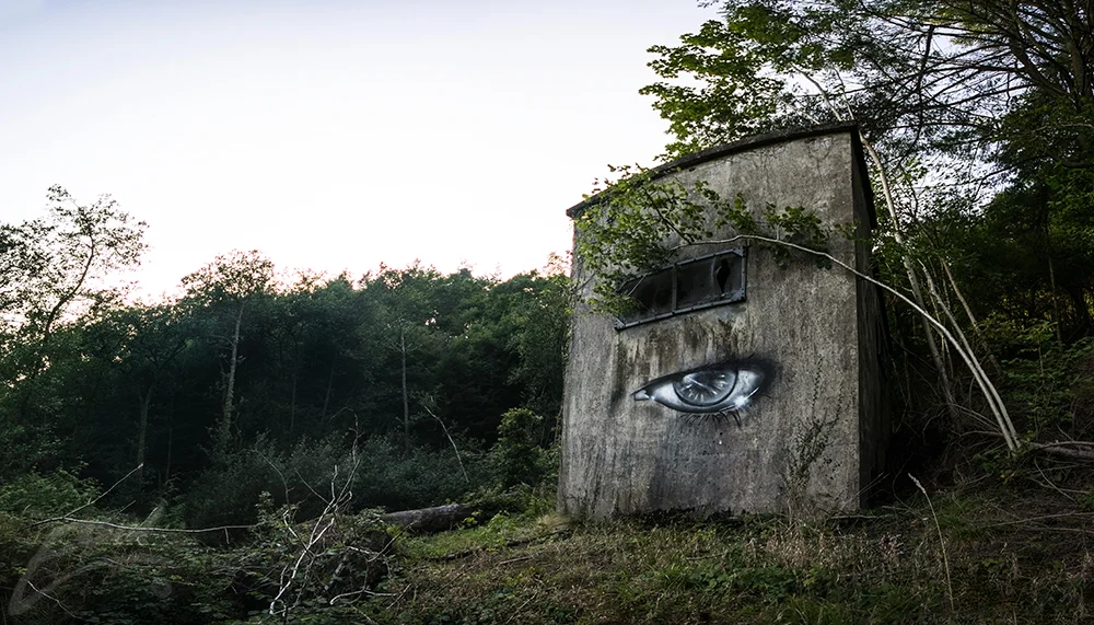 forest-eye-web.jpg
