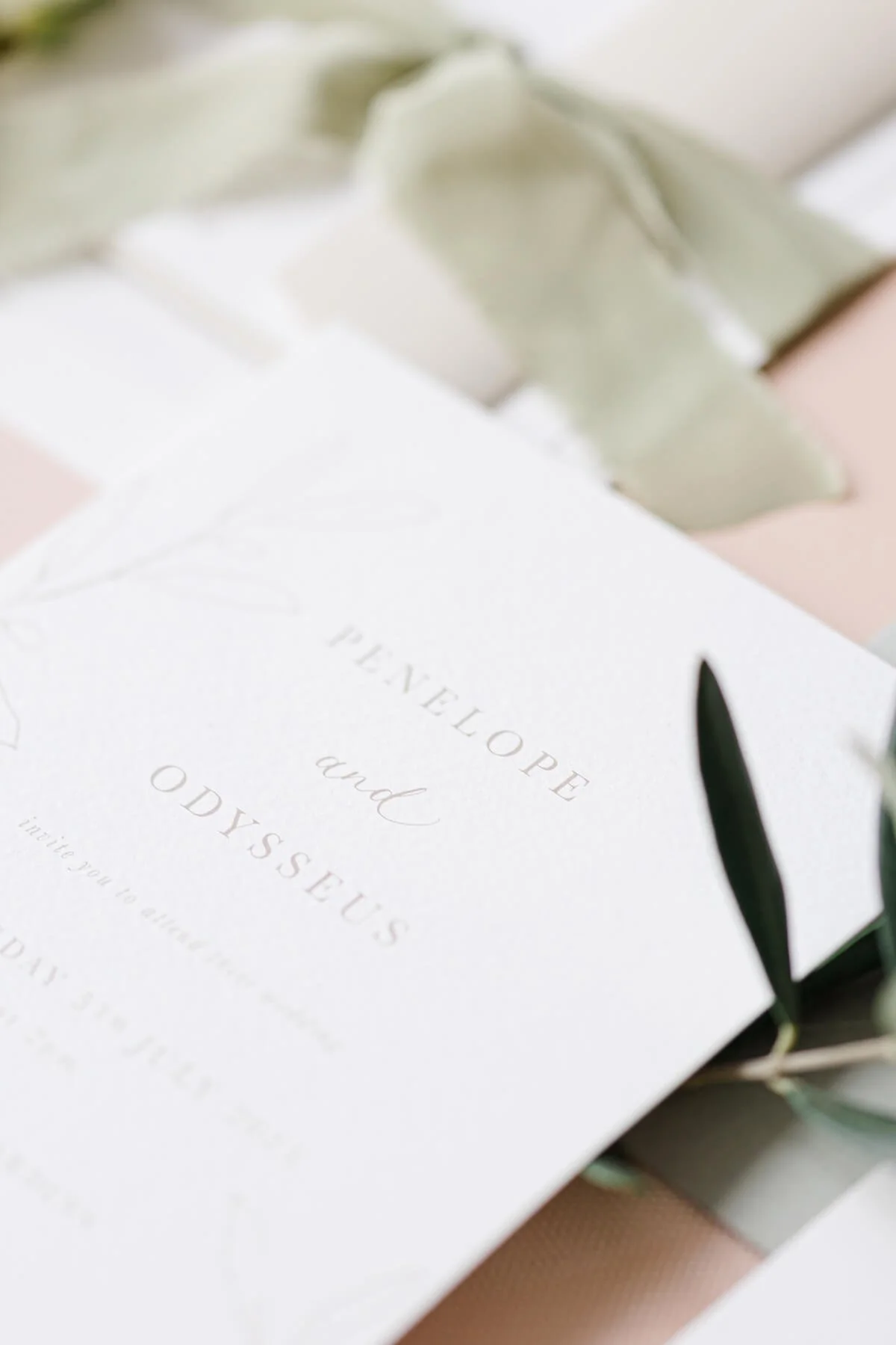 close up of 5x7 inch wedding invitation with serif font and illustrated olive branches