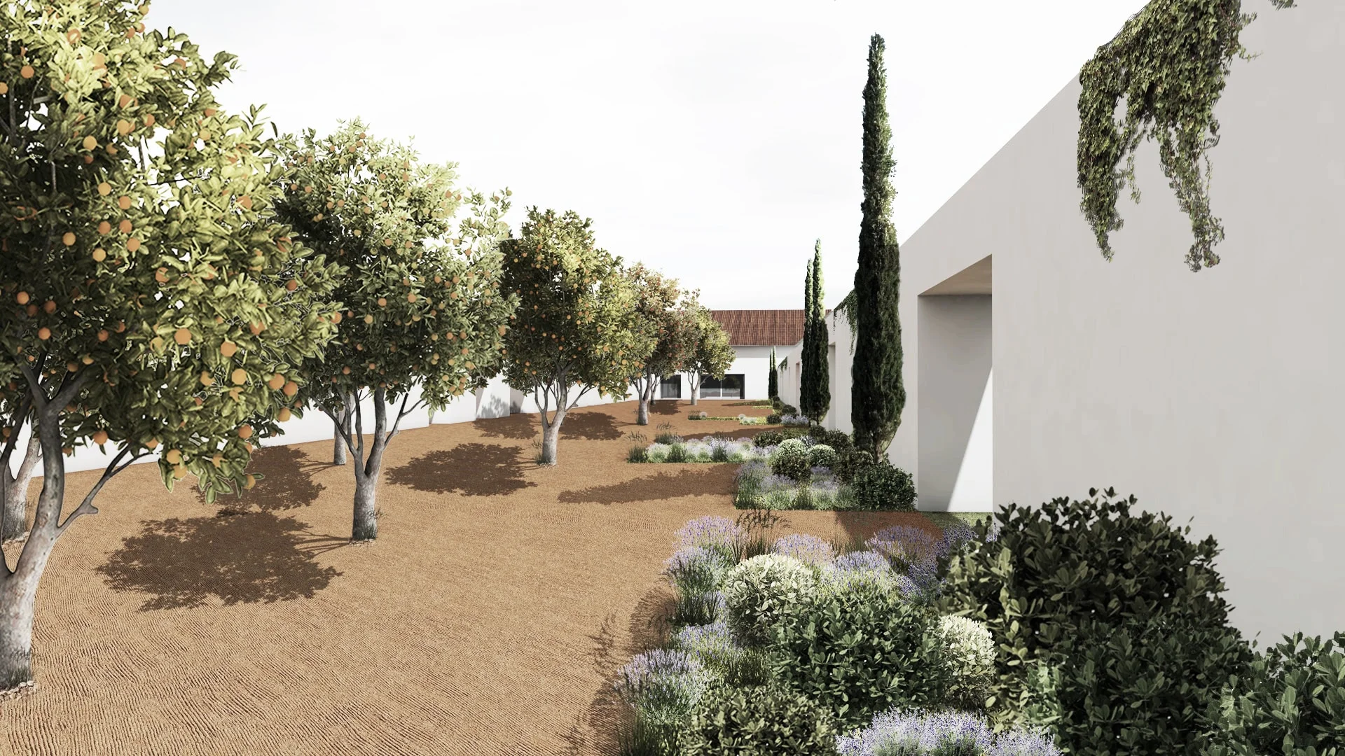 Reabilitação | Turismo Habitacional | Alentejo | 2017