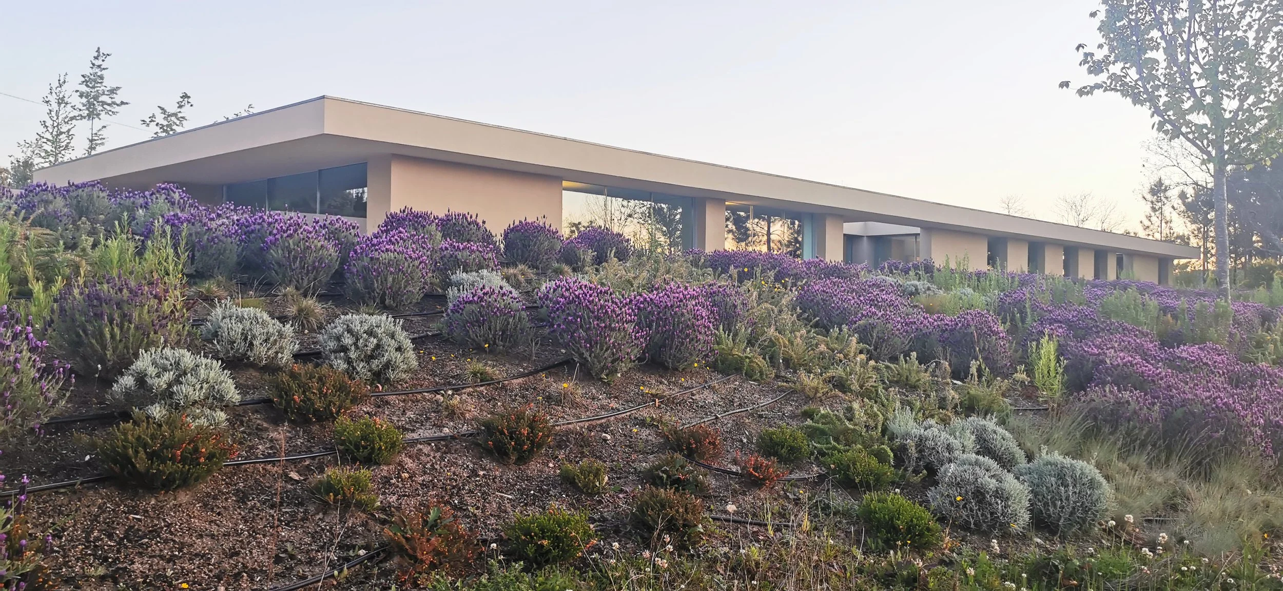 Habitação Unifamiliar | Sabrosa | 2019