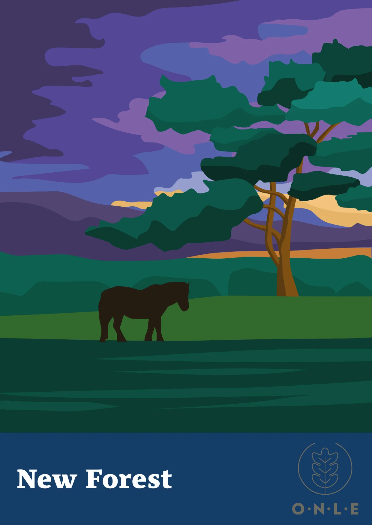 New forest 2.jpg