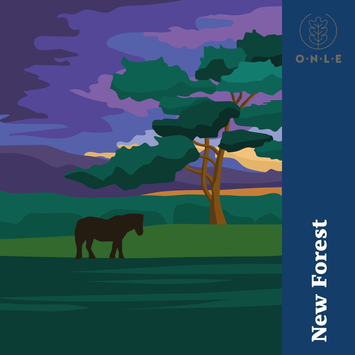 New Forest_SQ.jpg
