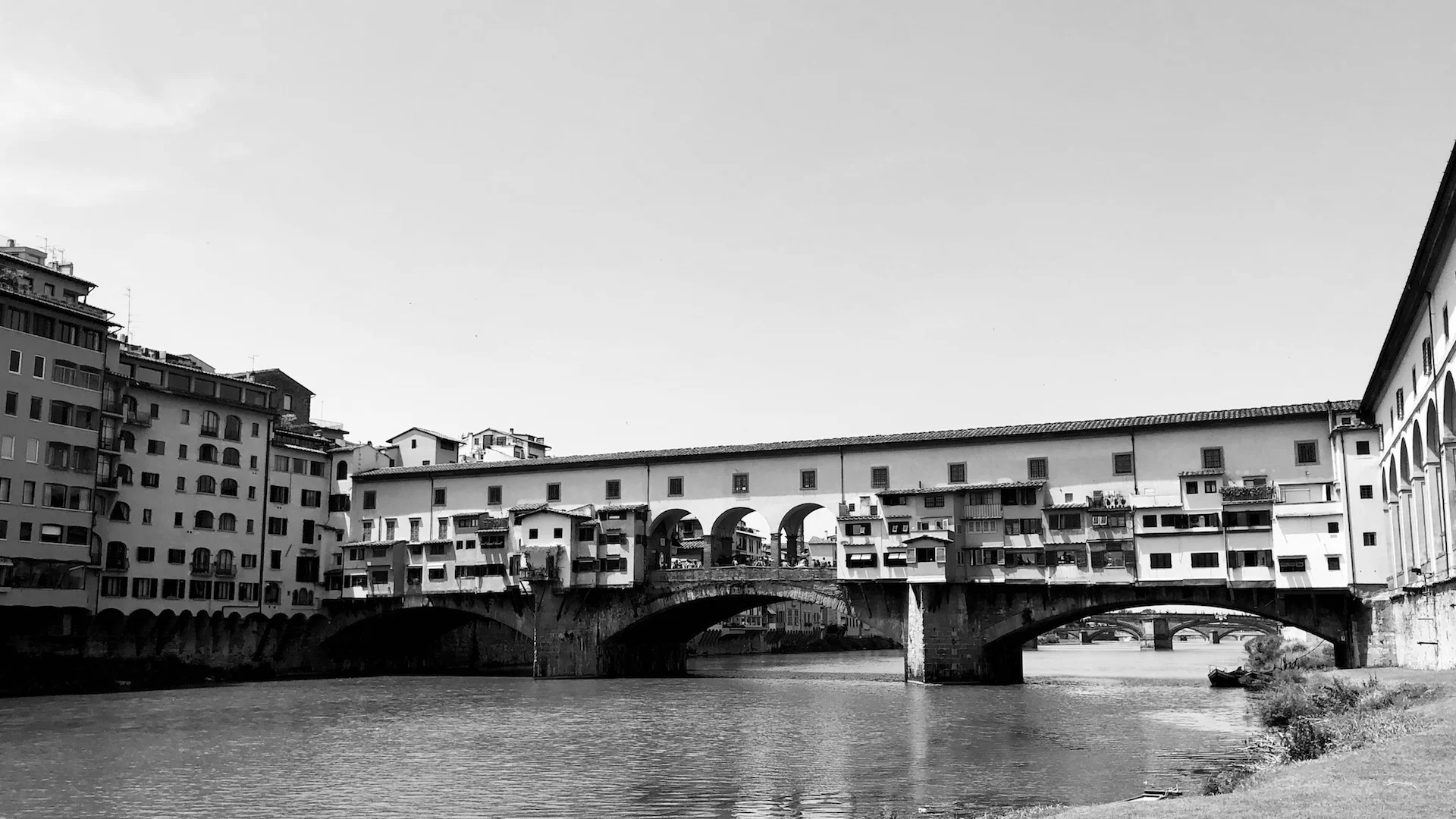 IMG_3207.JPG