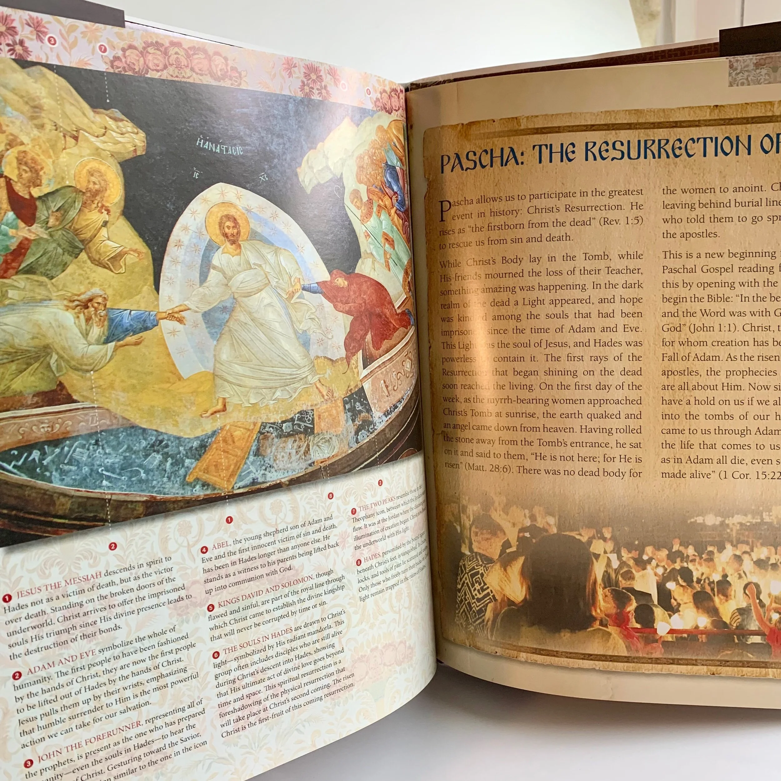 79E2479C-7E6B-494B-936B-D80BA03C76B3