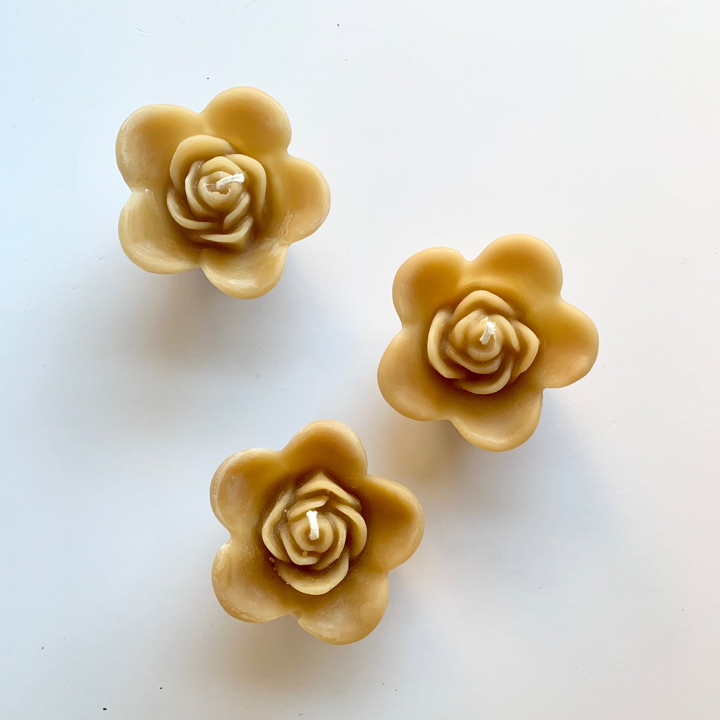 259DA075-4CDA-4BCB-AEF0-60D58FA02E43