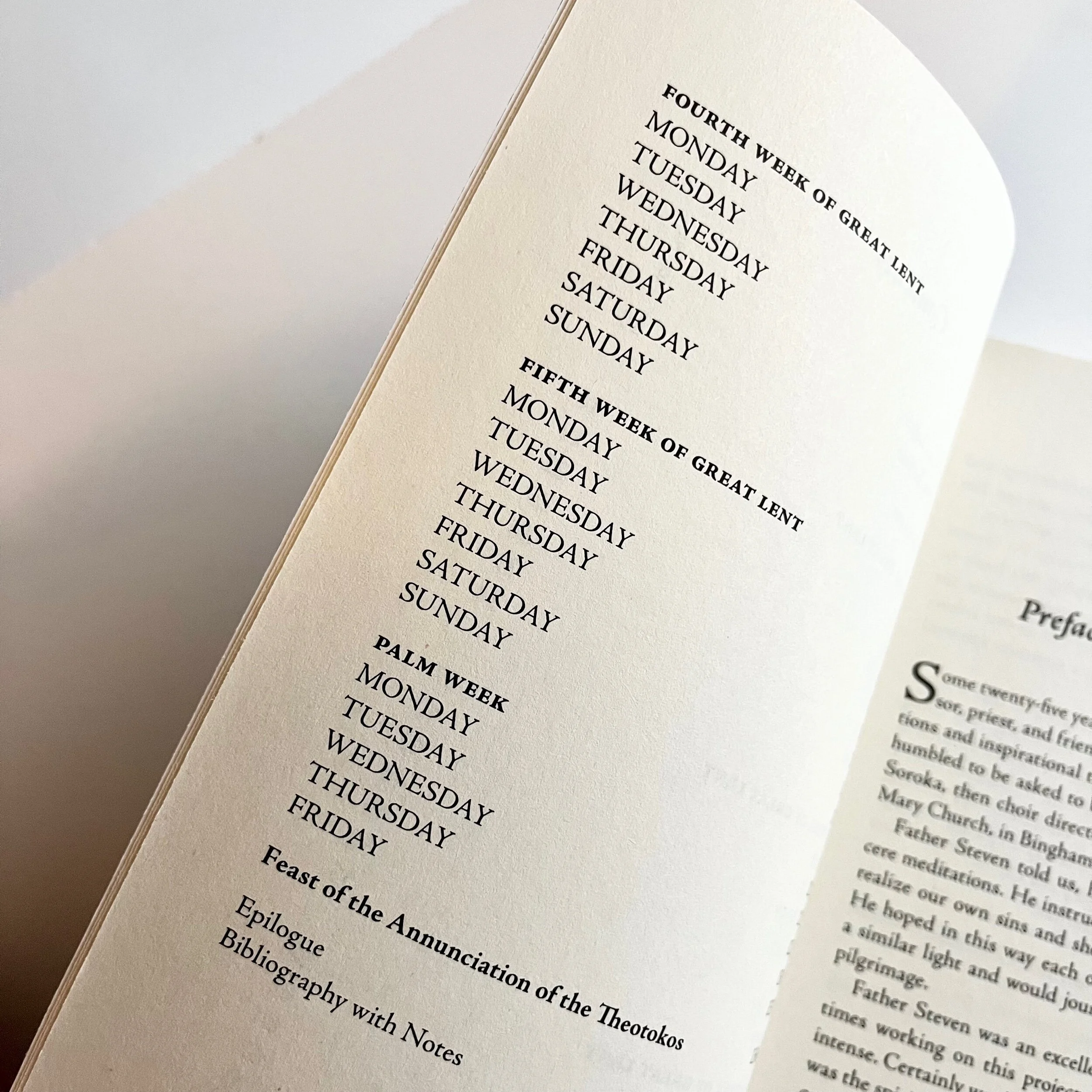 AB6DCF92-0D1B-4F8A-BA6E-76CC24843656