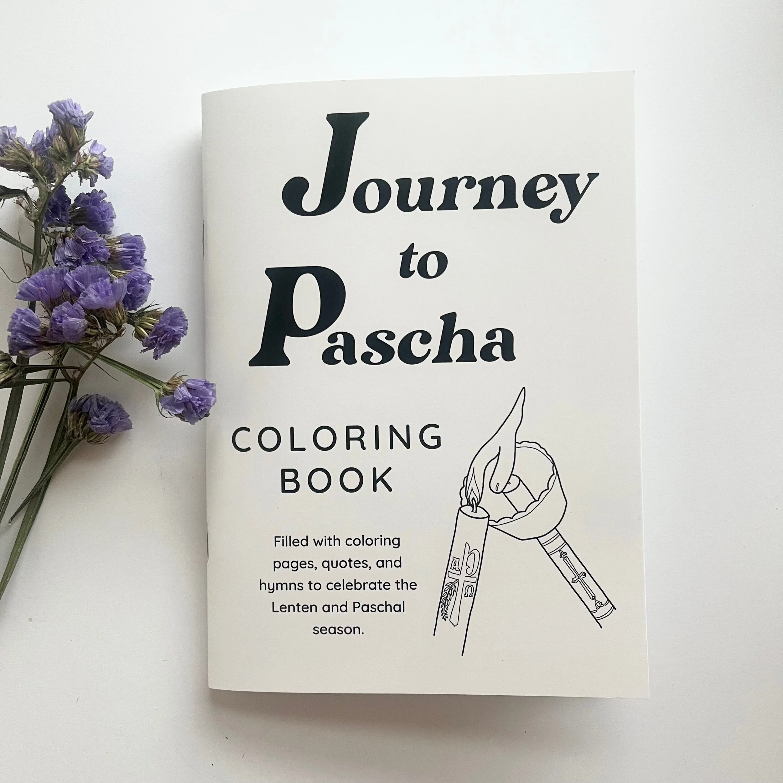 127B3B3C-463C-405E-AAEC-998948AB9FE1