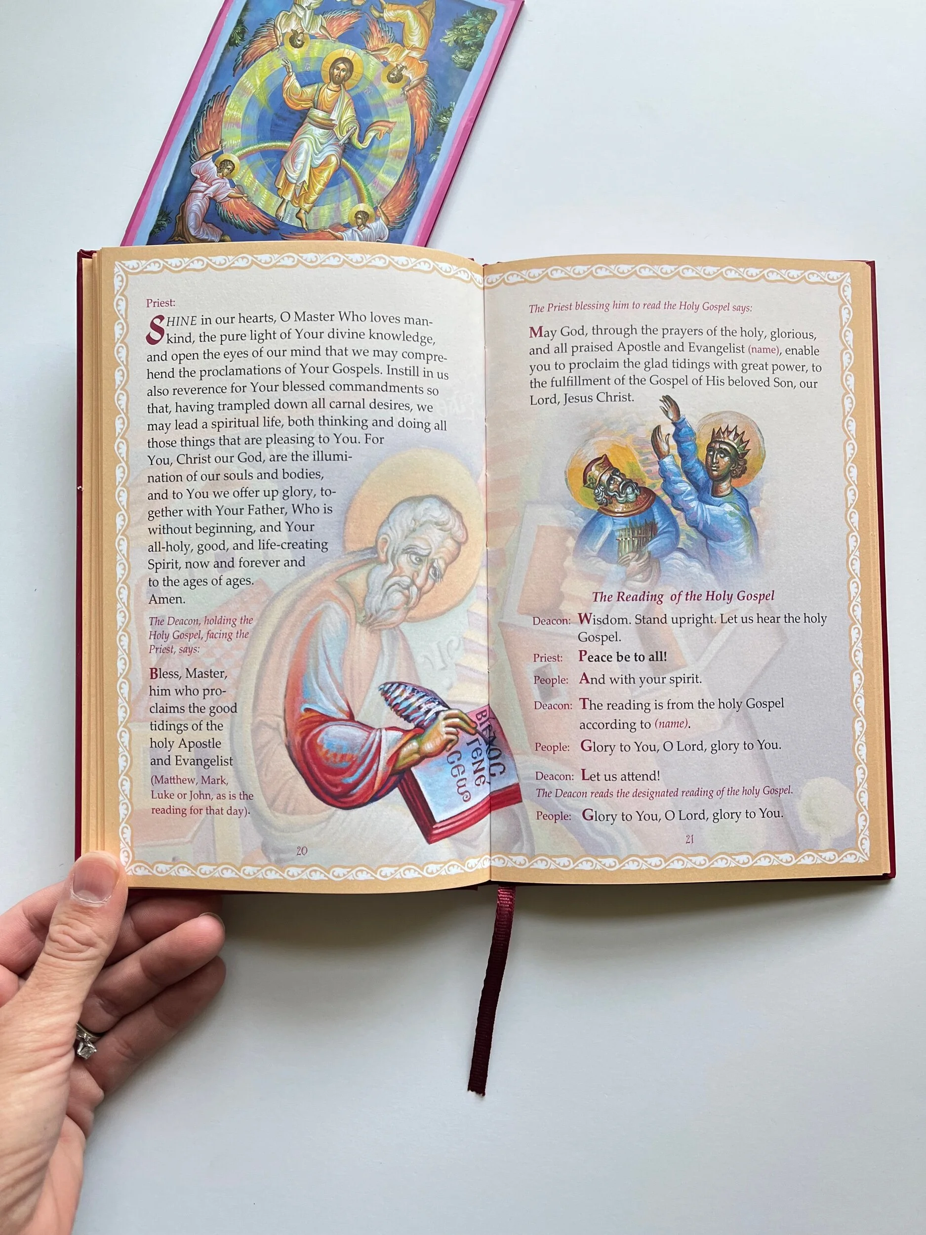 5F41D1B7-4120-4626-B46E-4AF56C155C5E