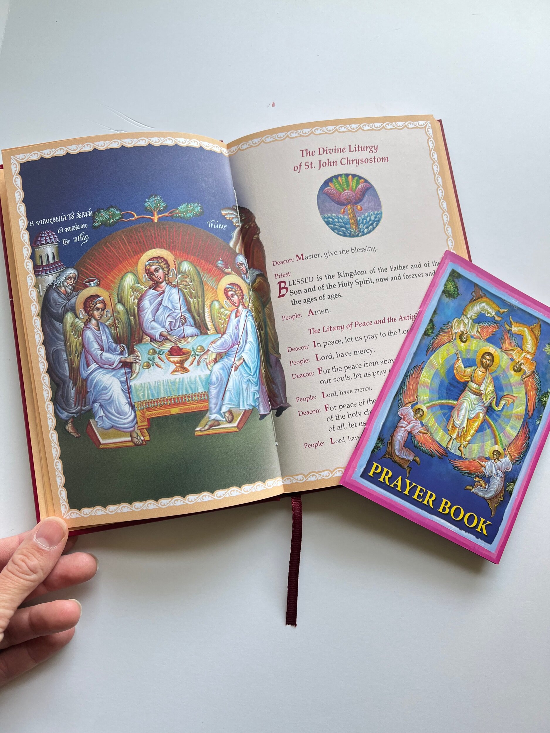 943A4419-3B09-4D19-A2D6-70EFEF723F41