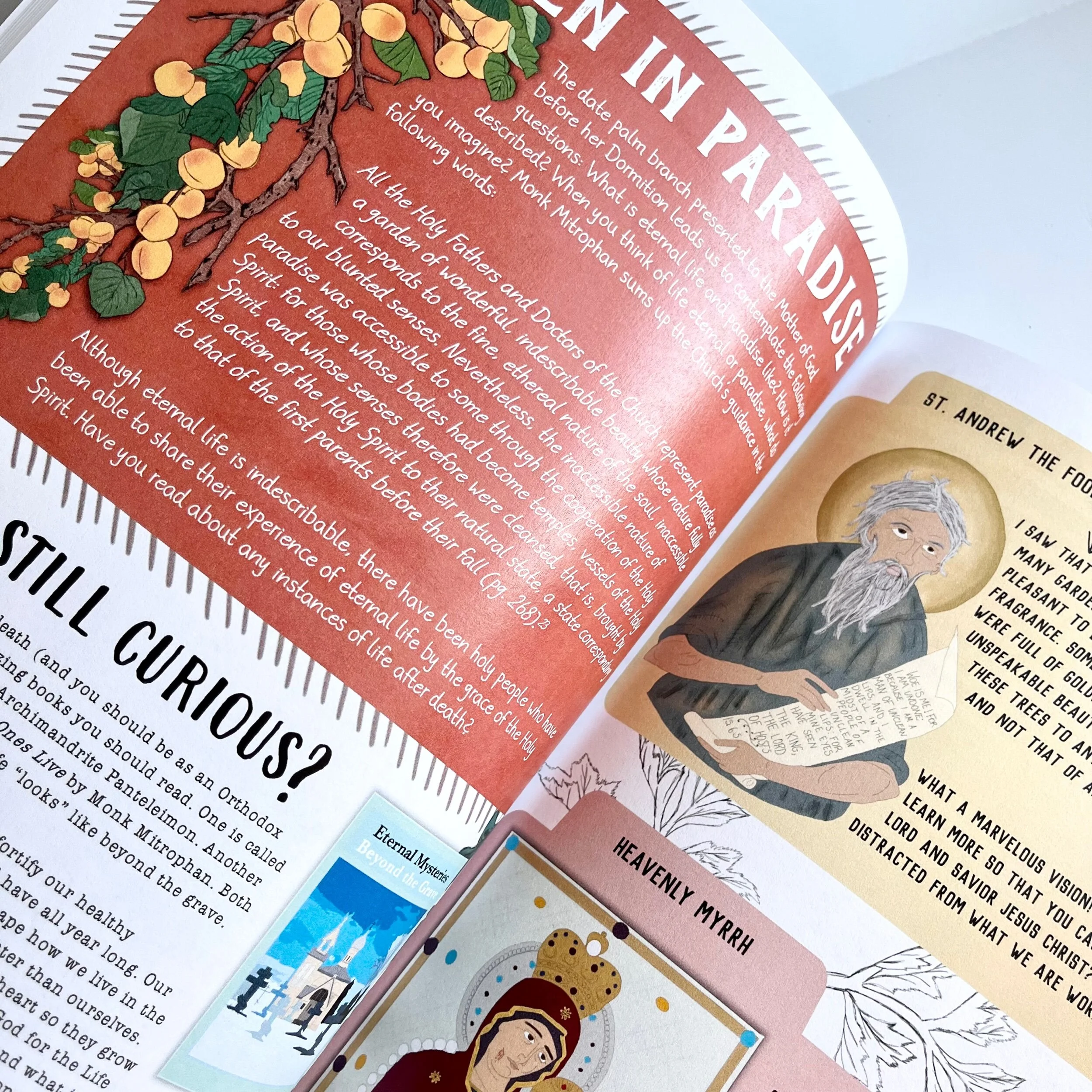 E2E4341A-94E3-4D45-8520-C66C6DFD9F9A