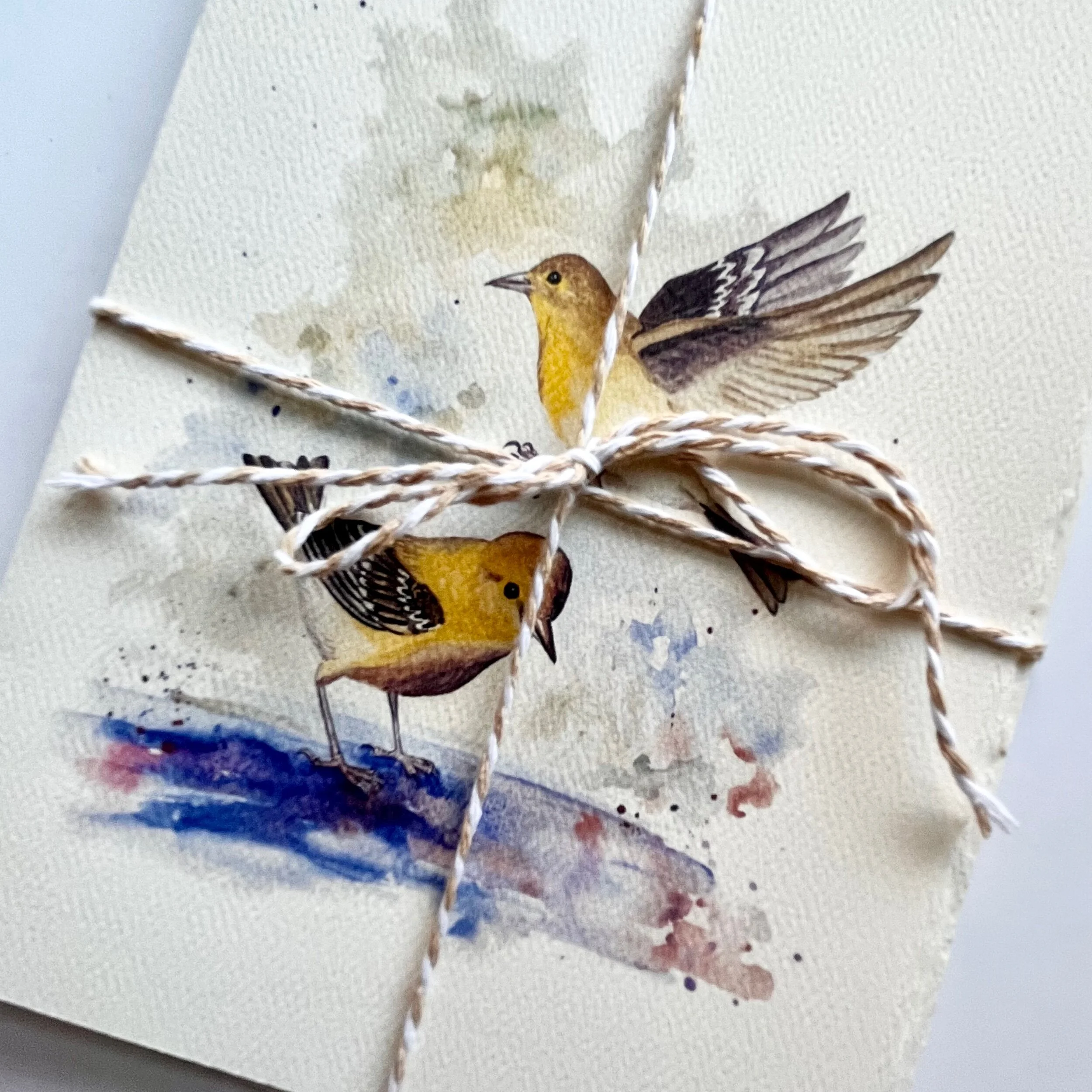 93841116-BBBC-4860-B272-84920E0809D7