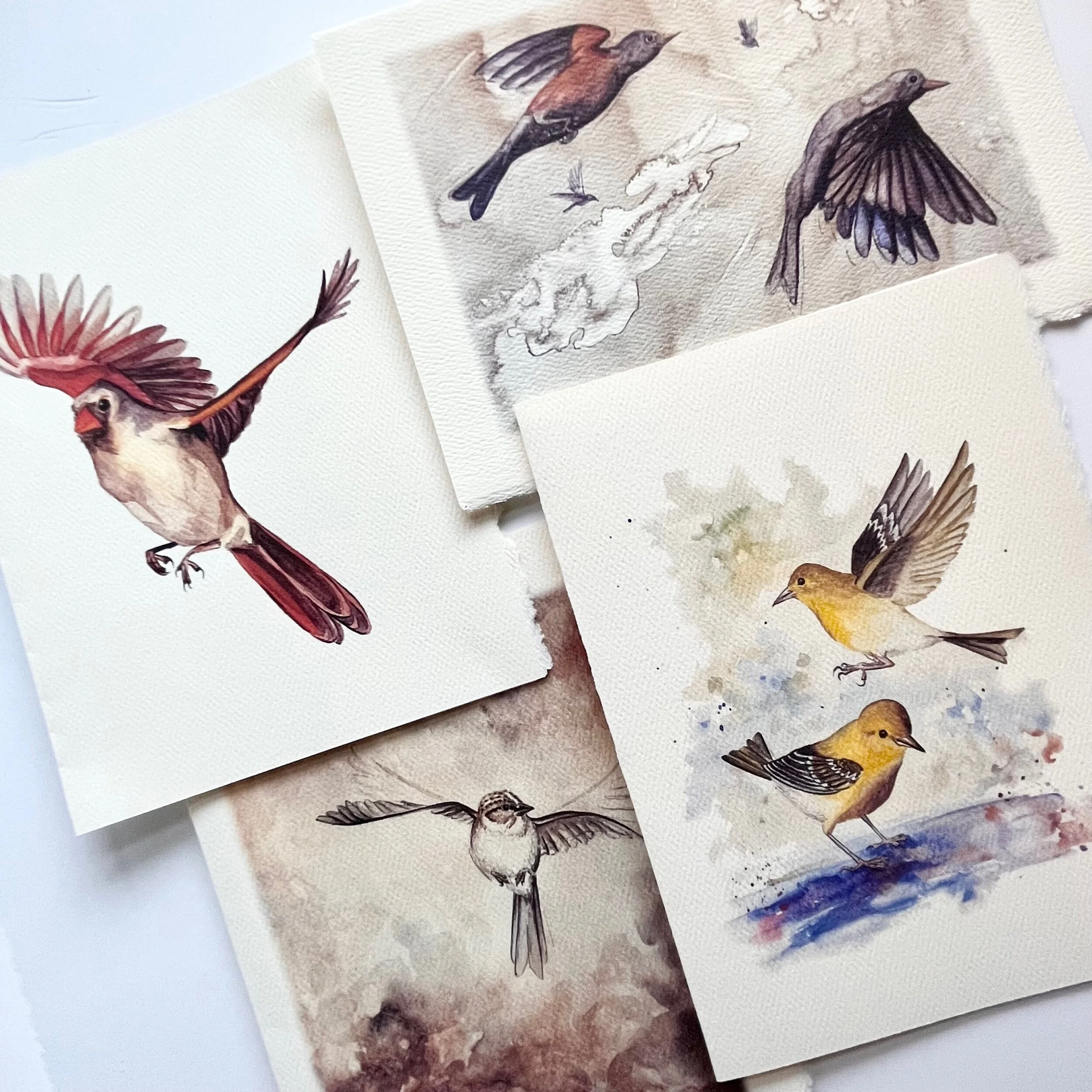 A9A172F9-D09D-43E9-BBCD-65C4B2374946