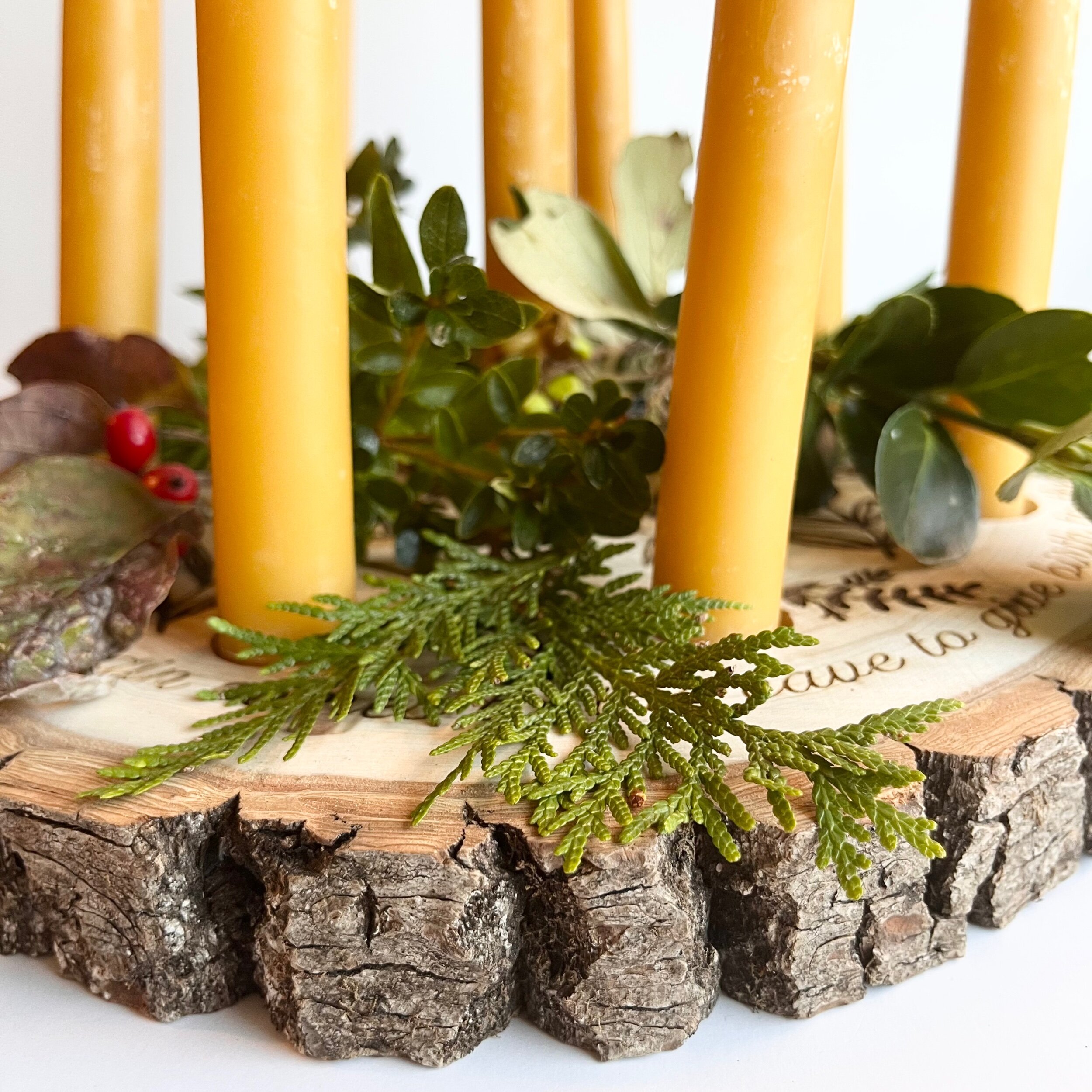 0C2ECC0D-C491-4DAB-B16C-28DBCD9E5149