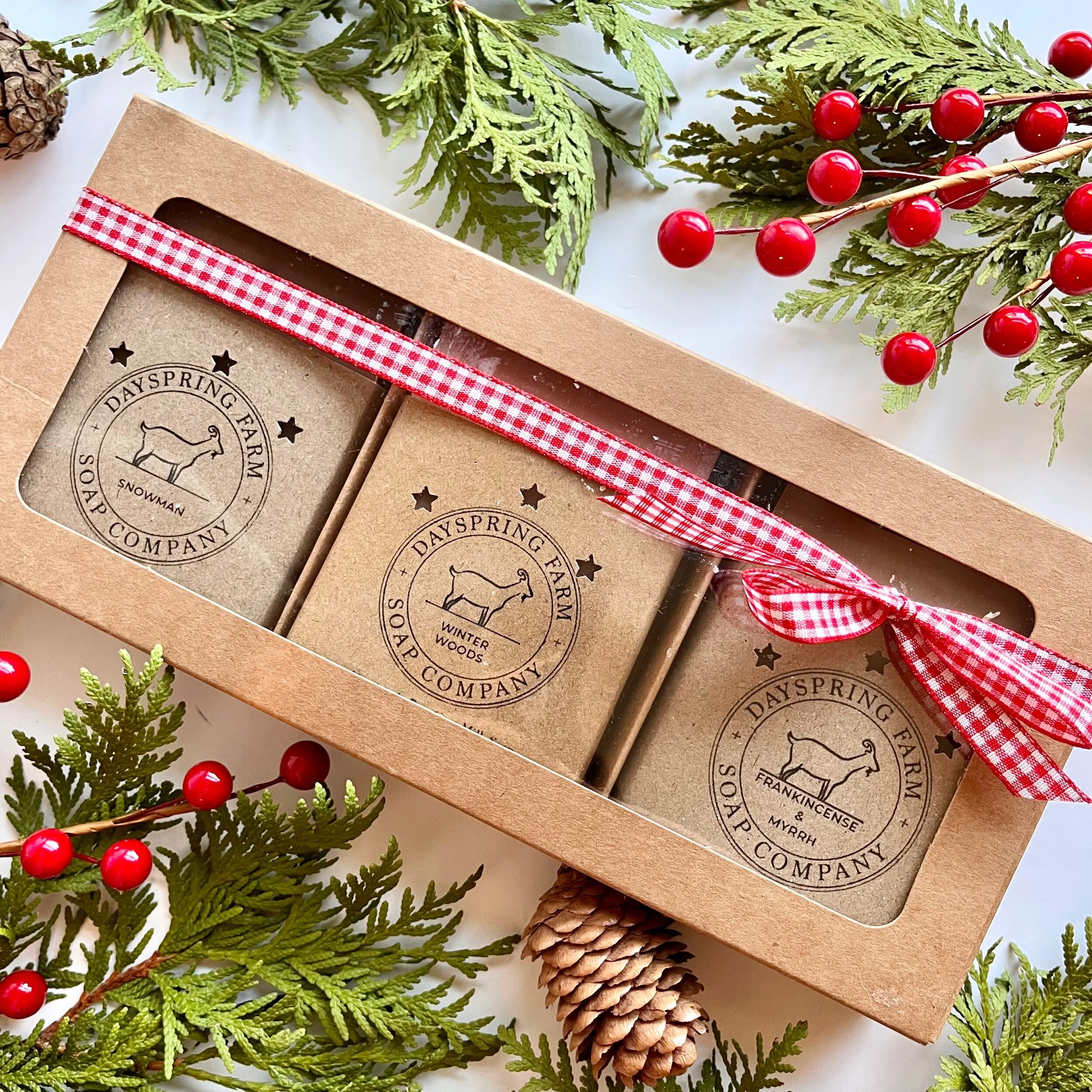 4E7A2B07-5799-4CC9-8A54-E7E18058F648