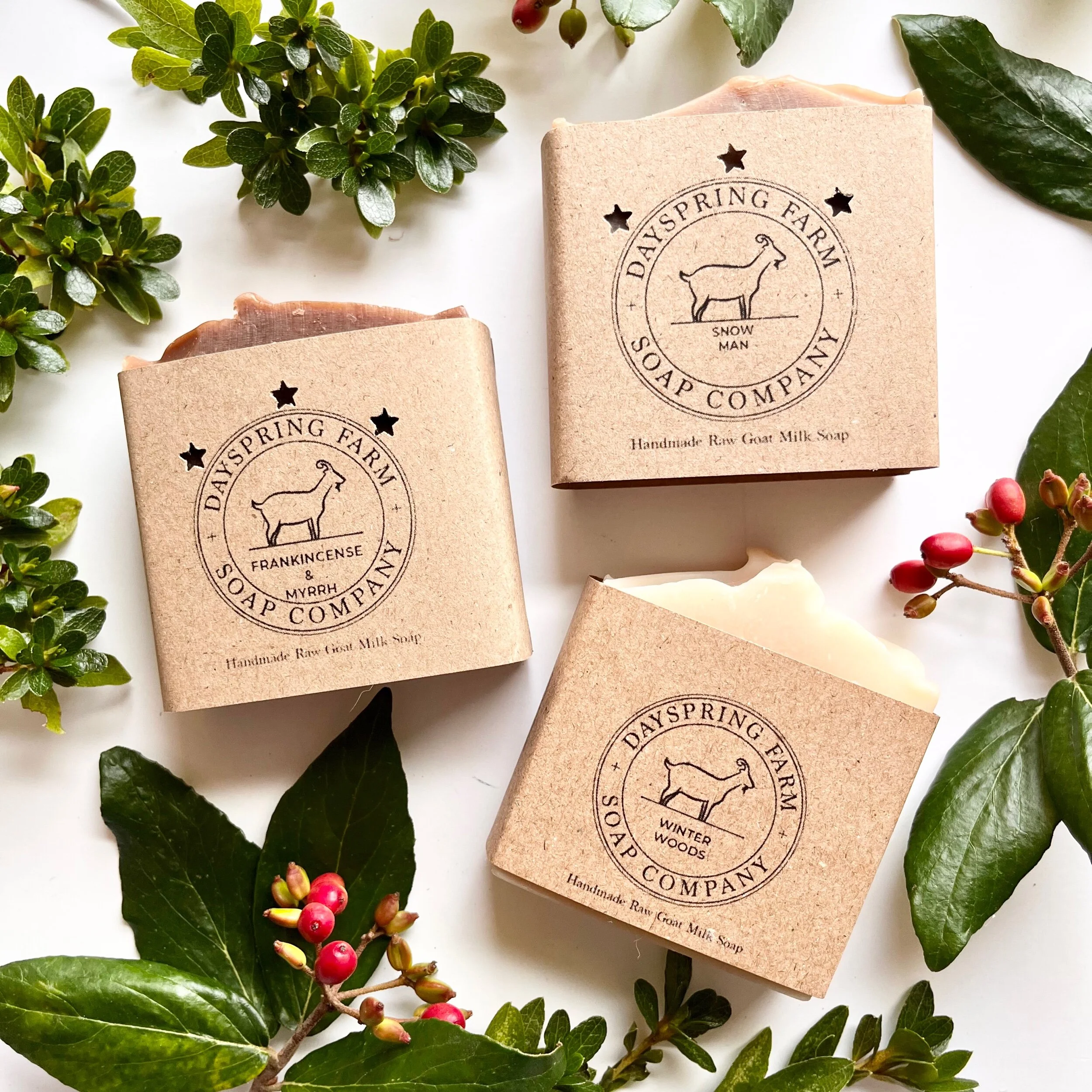 FC805835-A7A4-48EE-8943-EADA1B50F013