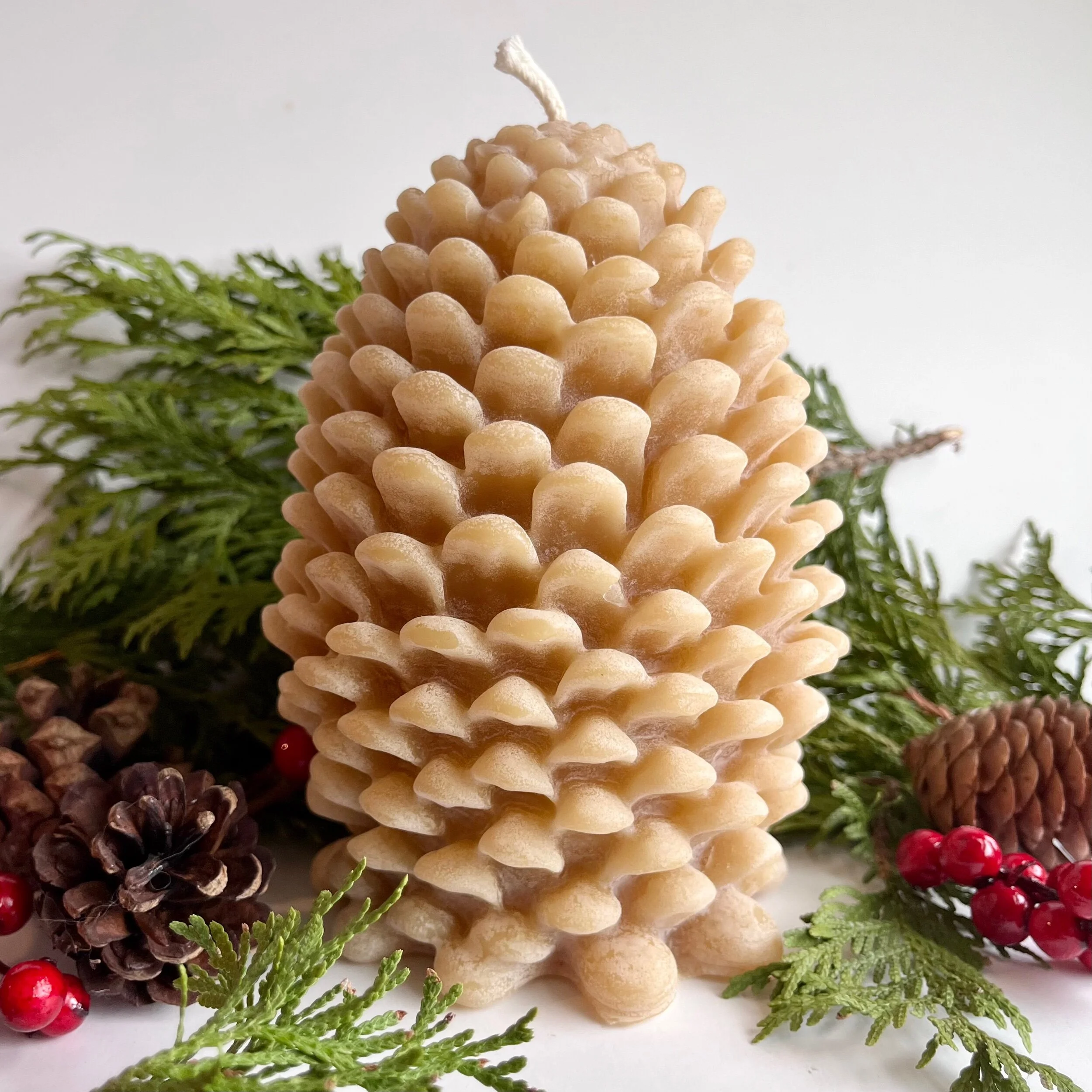 E90B5373-60BC-402C-9379-F844CAFCAA81