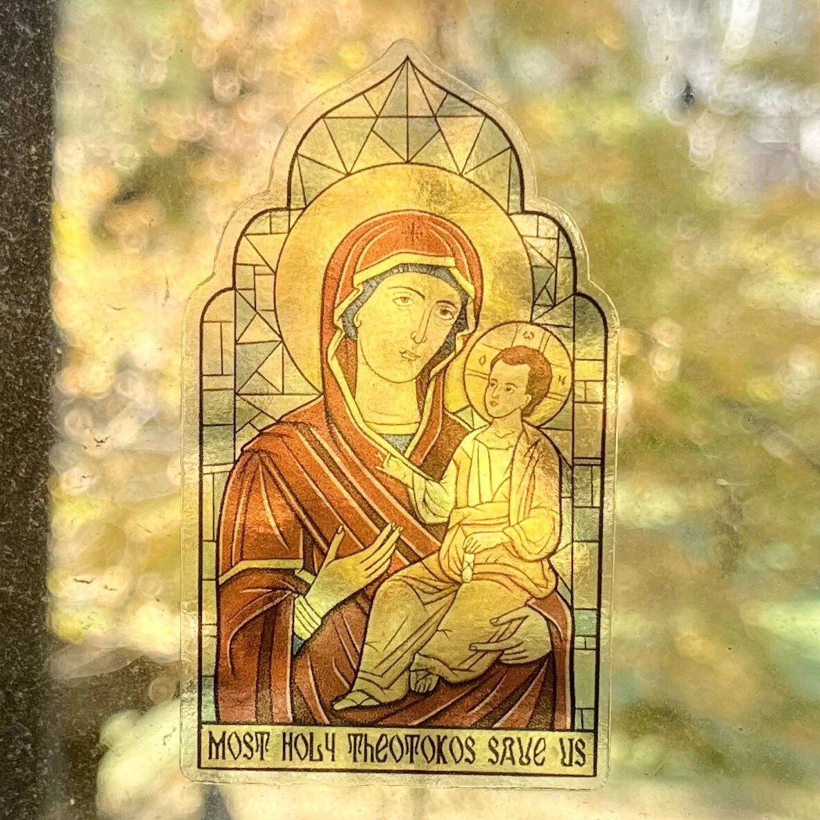 51EEF339-2953-4EF9-B173-C8C11F52C7E2