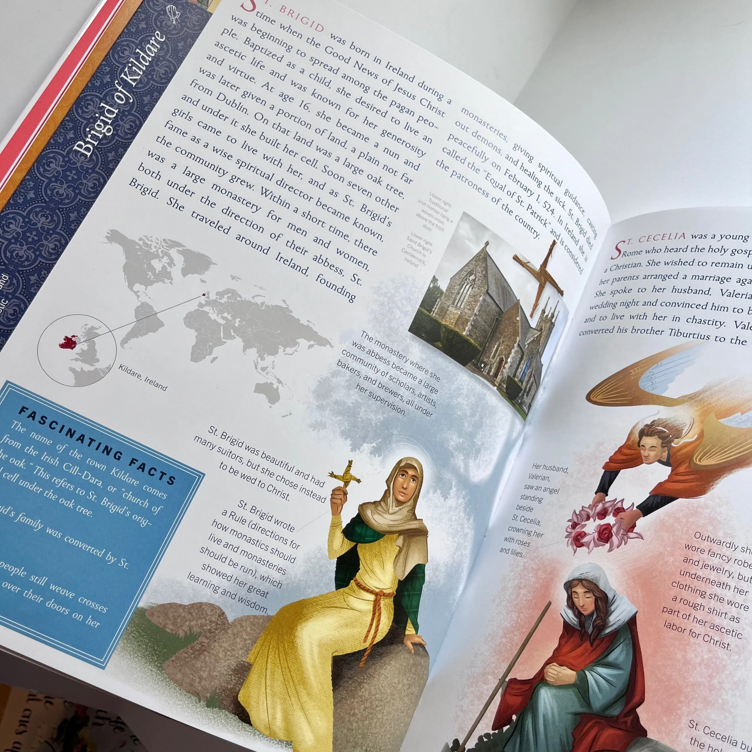 B313A0D2-9F3F-439A-B5C4-DD471F5DEAD9