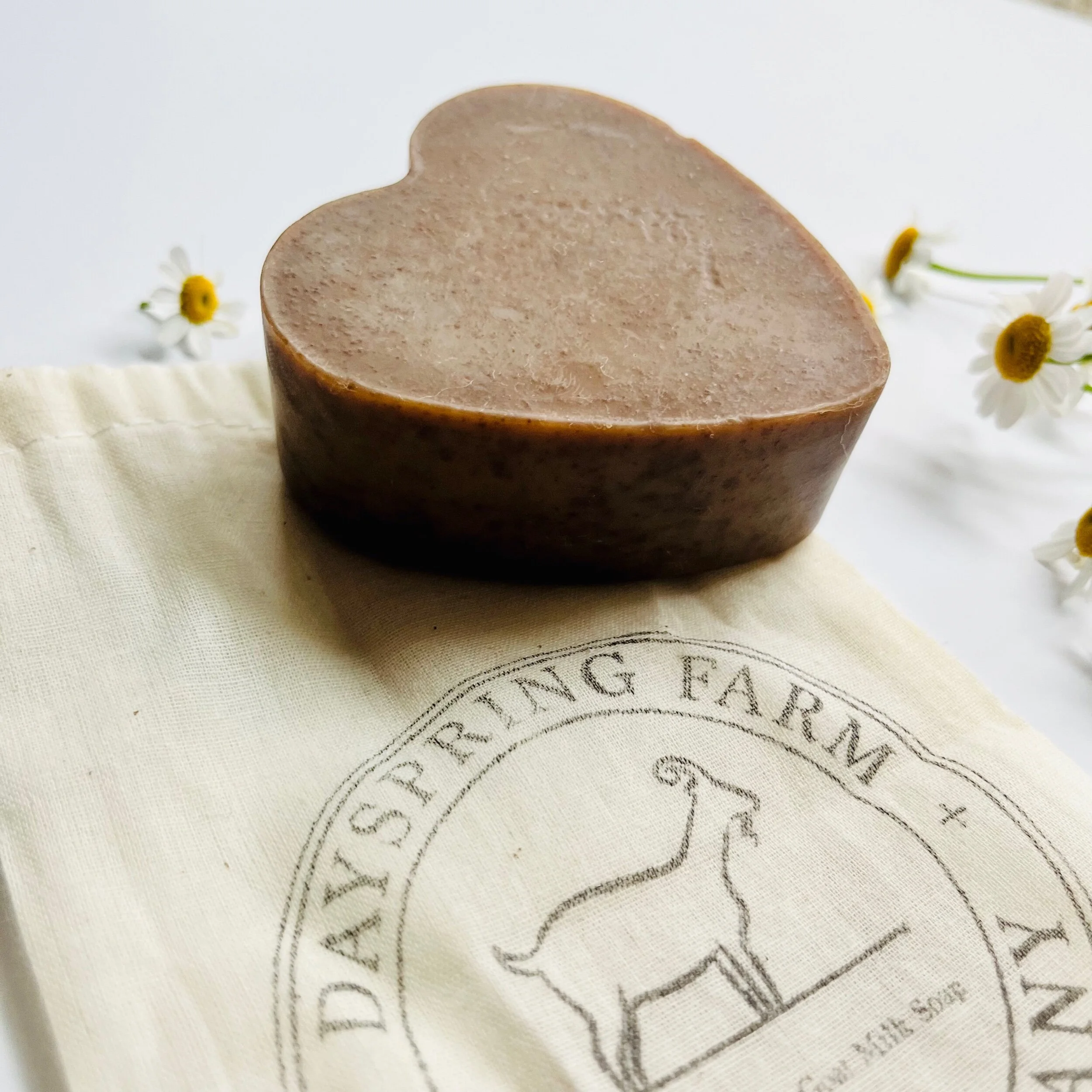 4C913705-DA46-47C2-909E-235DE1477581