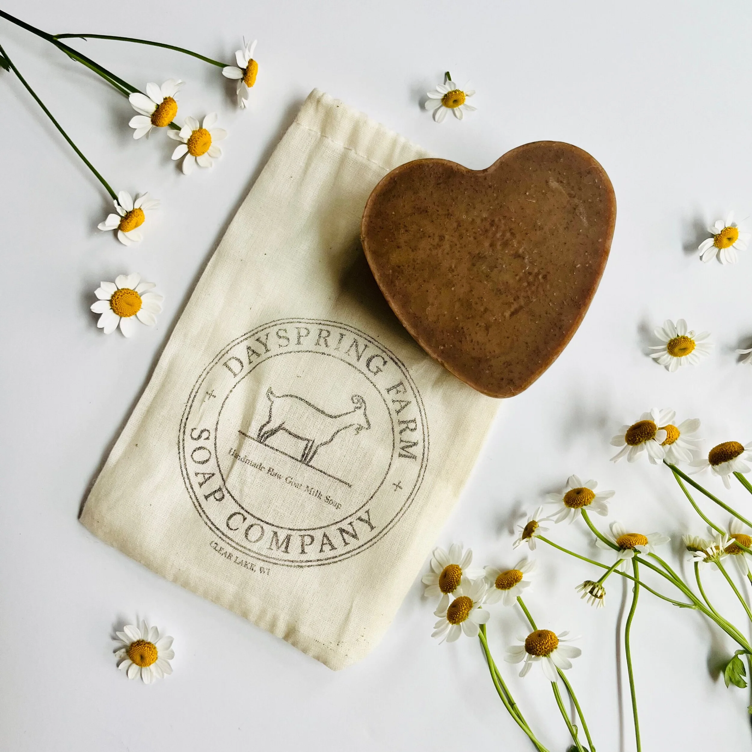 C0E34EBE-3ECE-4766-A3E2-360E6AD88AF7