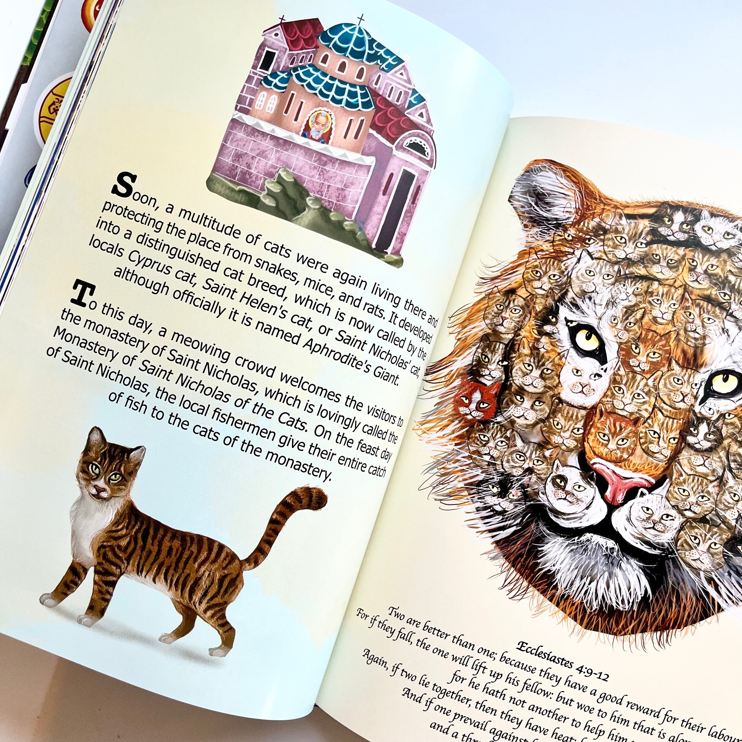 139BA176-2319-4232-911A-5092E8ED83A2