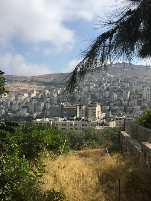 View of Nablus By Day from Rosie’s Apartment | Photo credit: Rosie Hoddinott