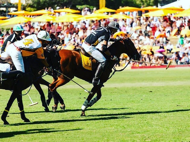 Wanna Enjoy The 10th Annual Clicquot Polo Classic, Los Angeles,On&nbsp;Saturday, October 5, 2019!!!! Contact Me For Your Future Experience
↕↕↕↕↕↕↕↕↕↕↕↕↕↕↕ www.Averageguyexperience.com .
↕↕↕↕↕↕↕↕↕↕↕↕↕↕↕
tickets.averageguyexperience.com
.
.
#averageguy
