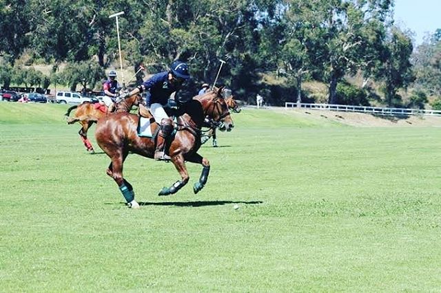 Wanna Enjoy The 10th Annual Clicquot Polo Classic, Los Angeles,On&nbsp;Saturday, October 5, 2019!!!! Contact Me For Your Future Experience
↕↕↕↕↕↕↕↕↕↕↕↕↕↕↕ www.Averageguyexperience.com .
↕↕↕↕↕↕↕↕↕↕↕↕↕↕↕
tickets.averageguyexperience.com
.
.
.
.
#averag