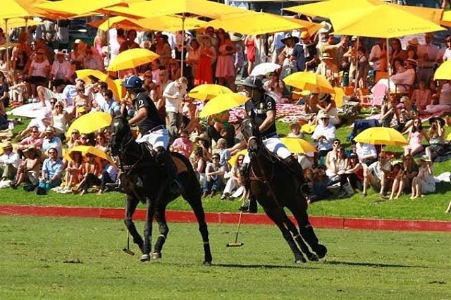 Wanna Enjoy The 10th Annual Clicquot Polo Classic, Los Angeles,On&nbsp;Saturday, October 5, 2019!!!! Contact Me For Your Future Experience
↕↕↕↕↕↕↕↕↕↕↕↕↕↕↕ www.Averageguyexperience.com .
↕↕↕↕↕↕↕↕↕↕↕↕↕↕↕
tickets.averageguyexperience.com
.
.
.
.
#averag