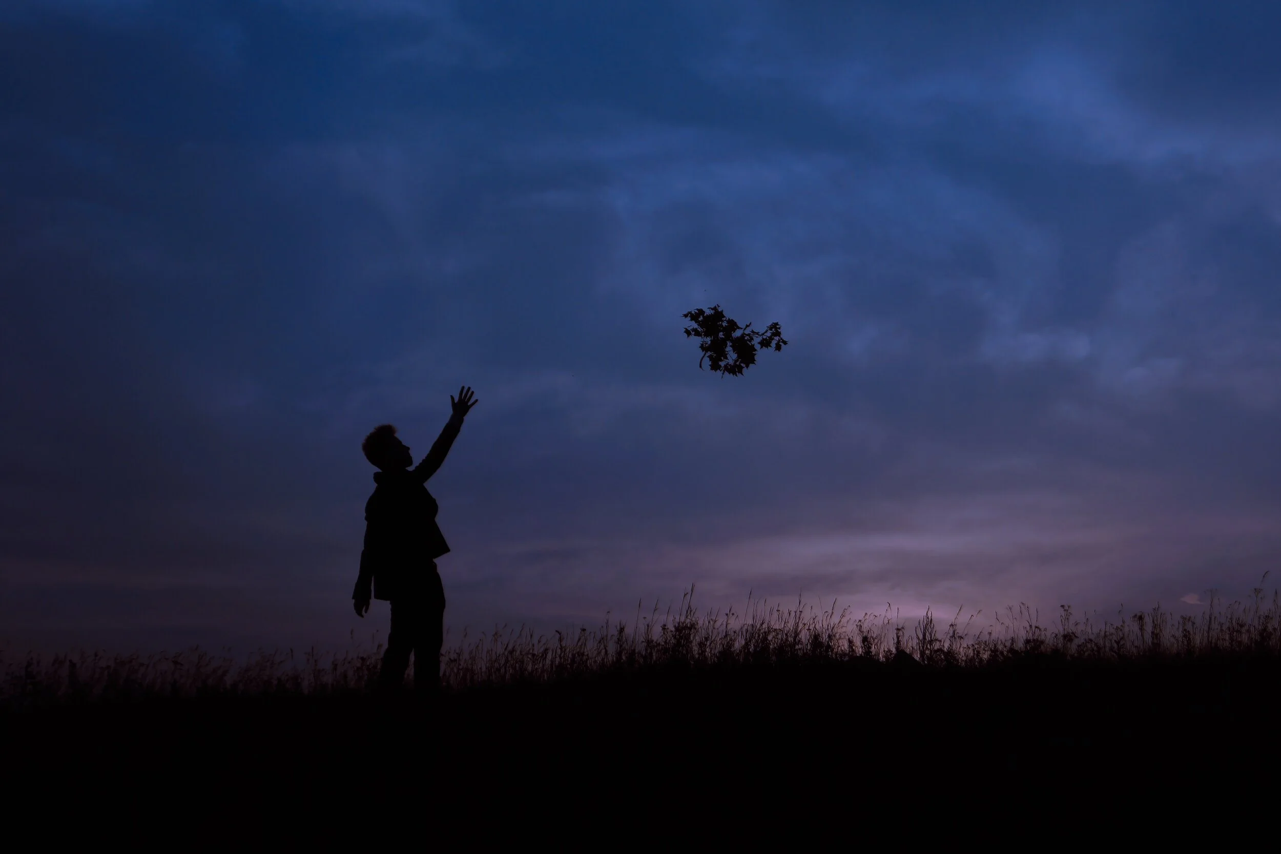 8 Lessons In Awareness By Anthony De Mello Turner Stories
