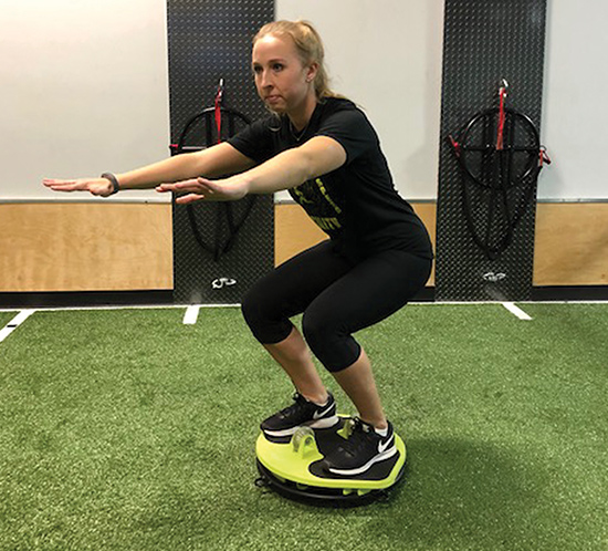 Bilateral Balance with Squats