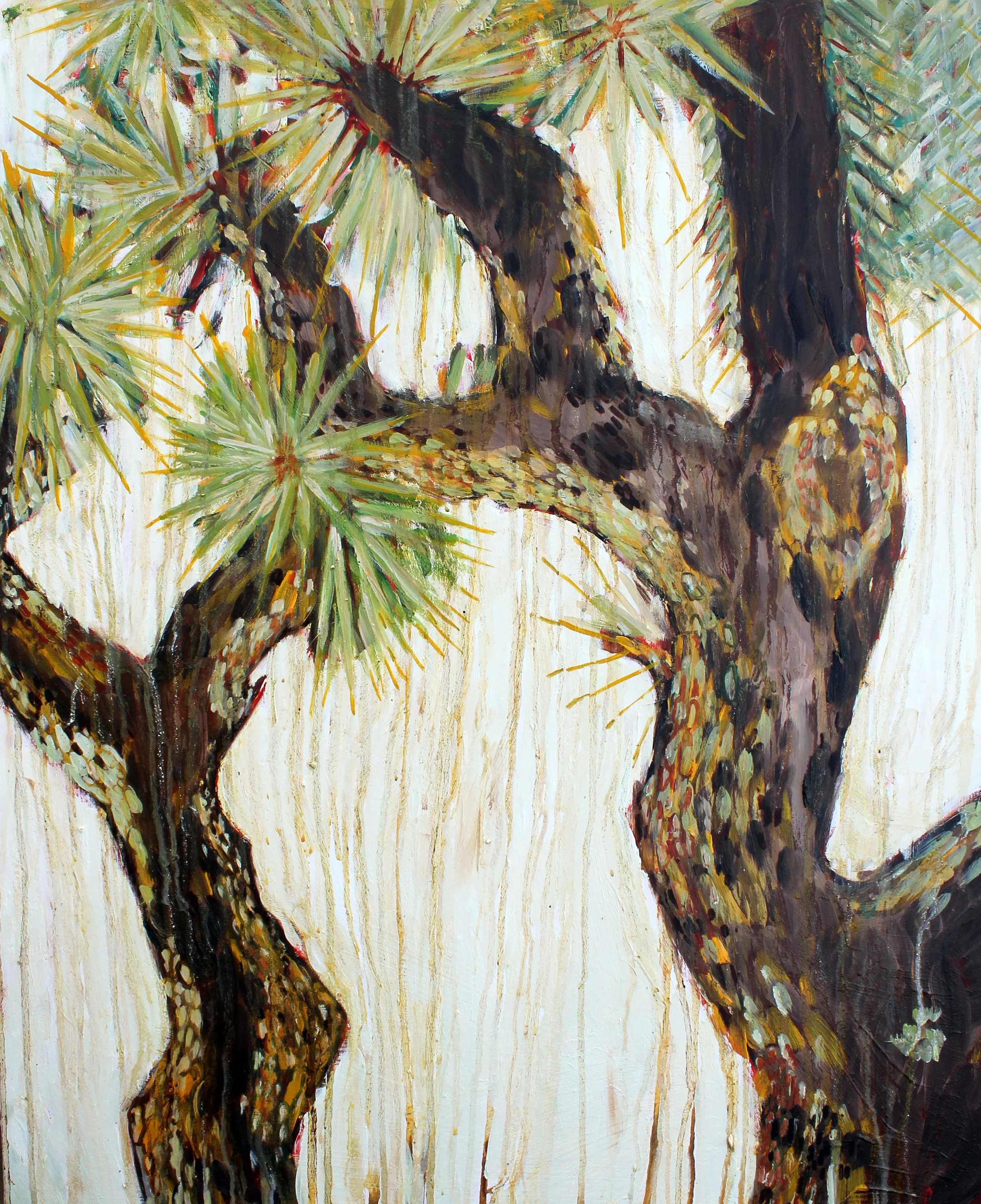 joshua tree.jpg
