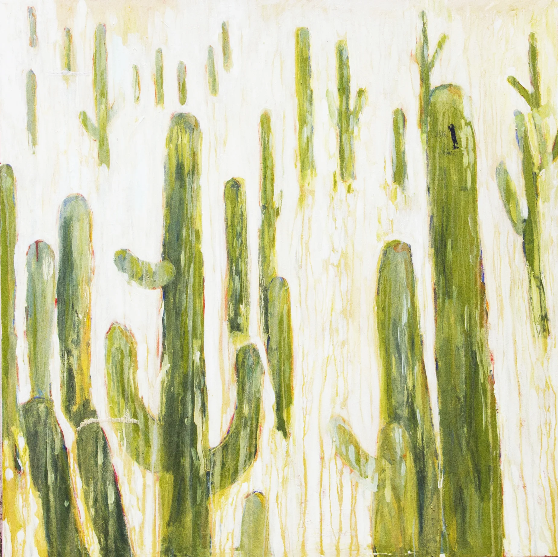 cacti.jpg