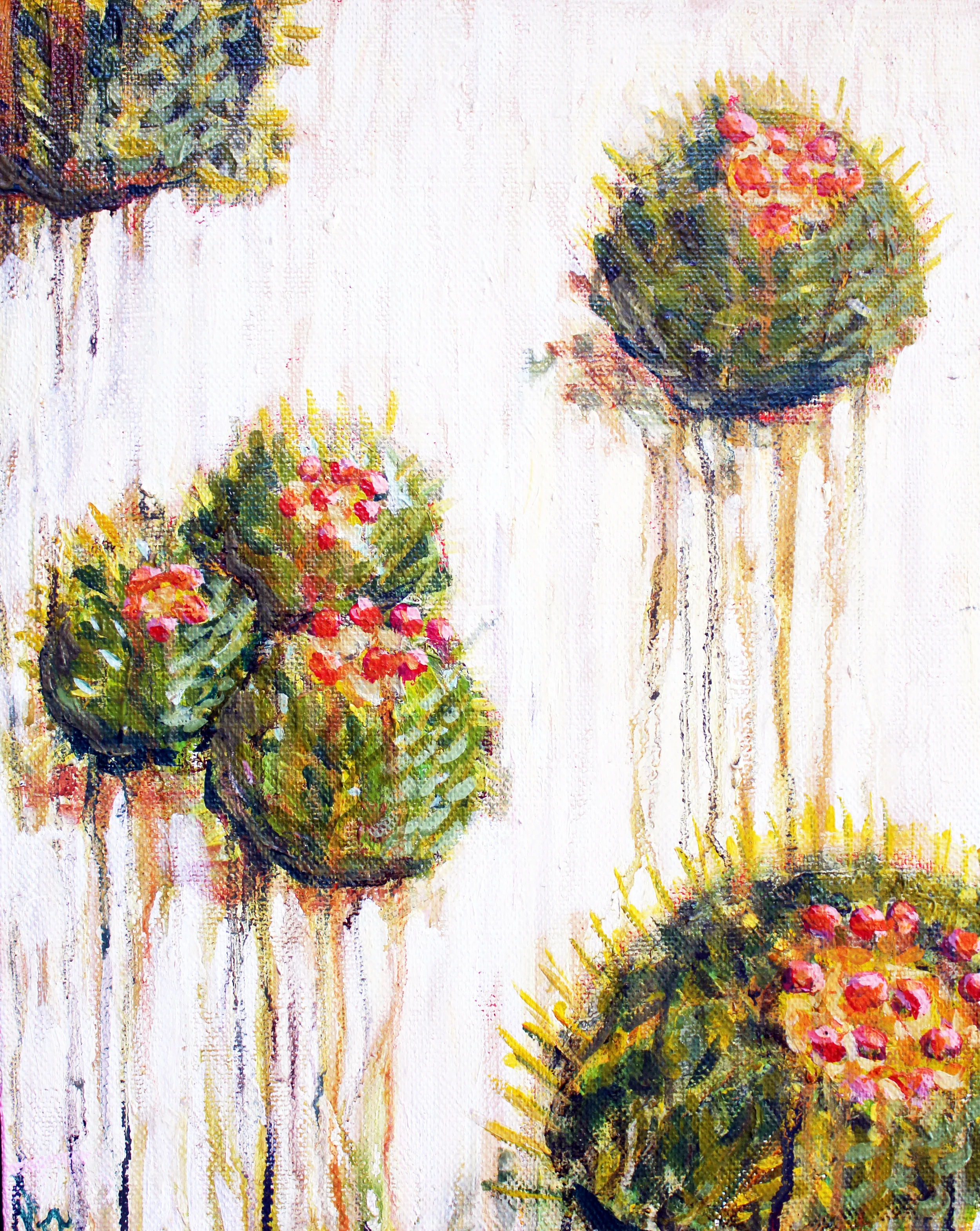 cactus cactus.jpg